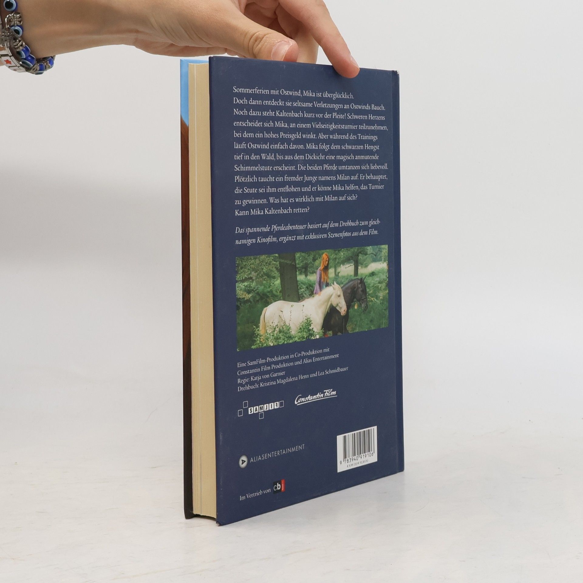 Kristina Magdalena Henn Ostwind 2 - Das Buch zum Film