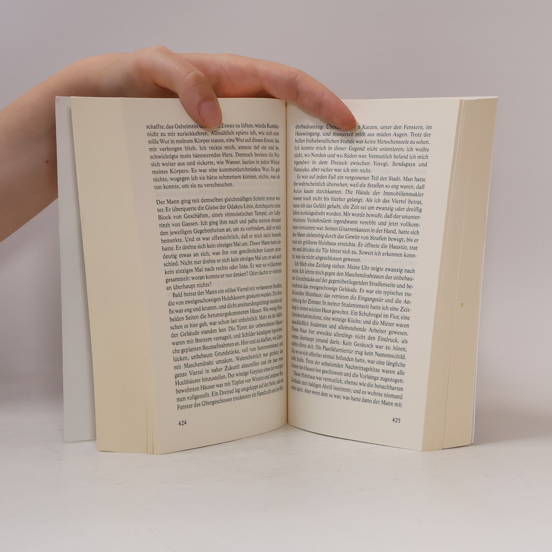 Haruki Murakami Mister Aufziehvogel