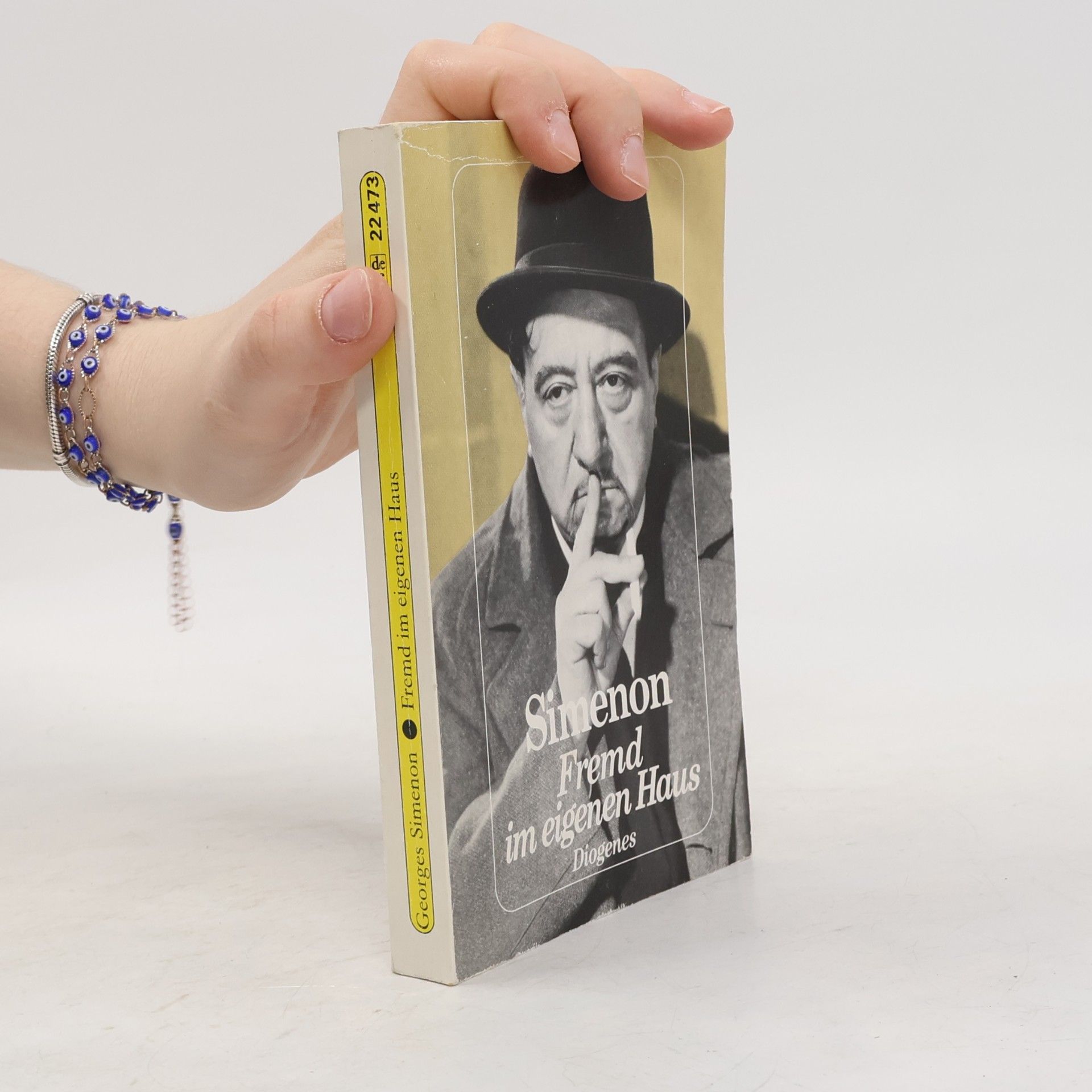 Georges Simenon Fremd im eigenen Haus