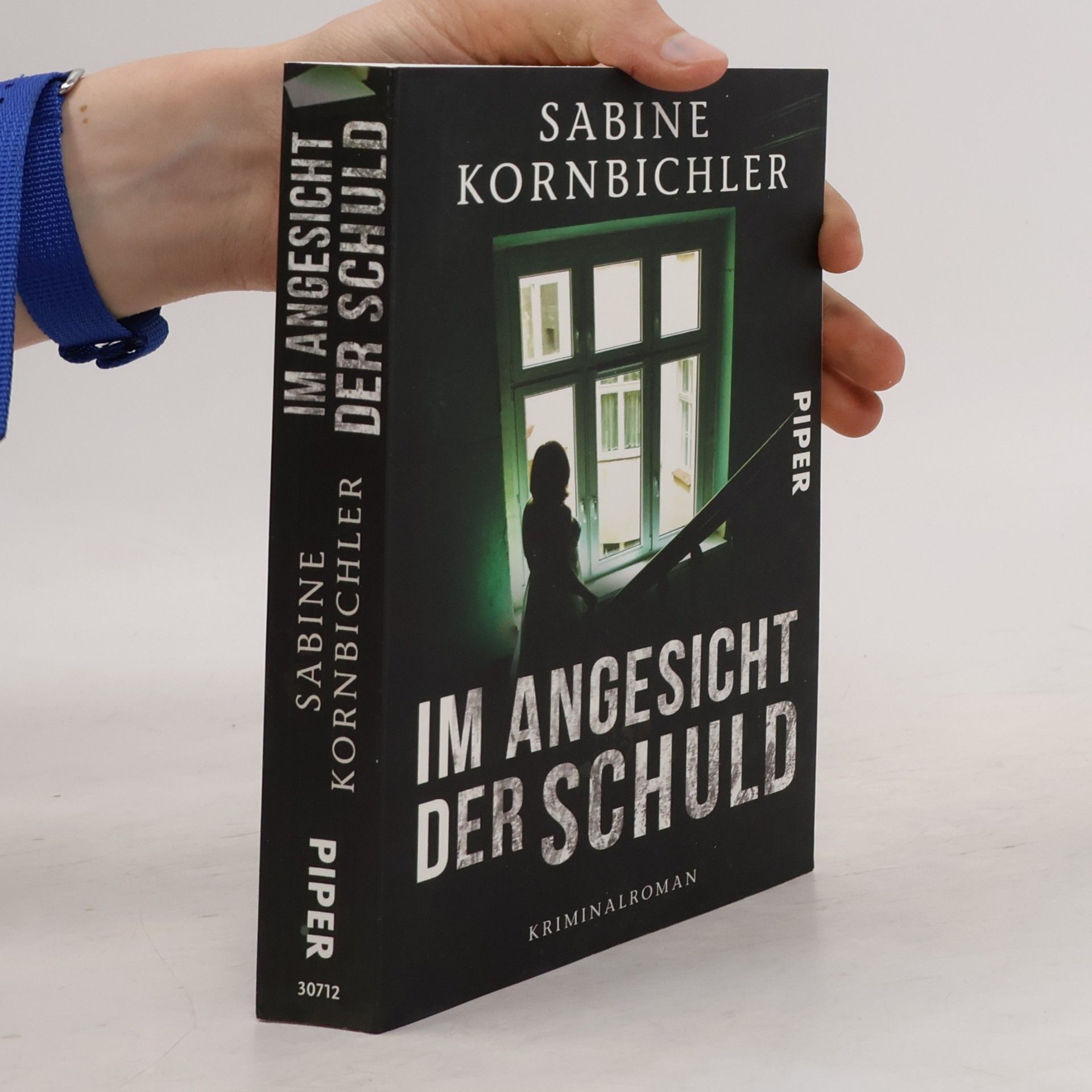 Sabine Kornbichler Im Angesicht der Schuld