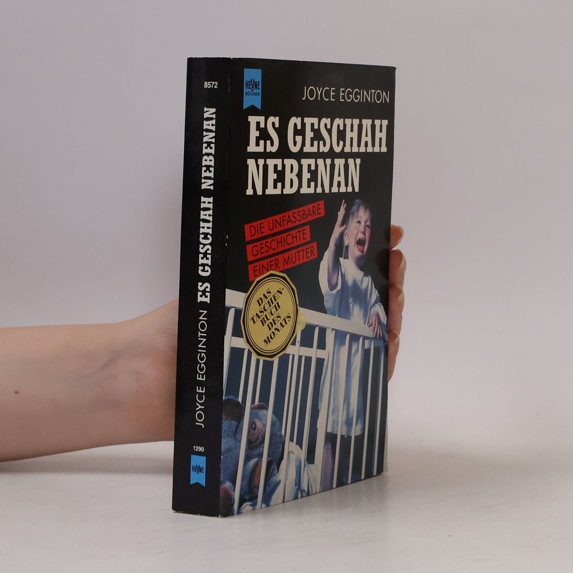 Joyce Egginton Es geschah nebenan