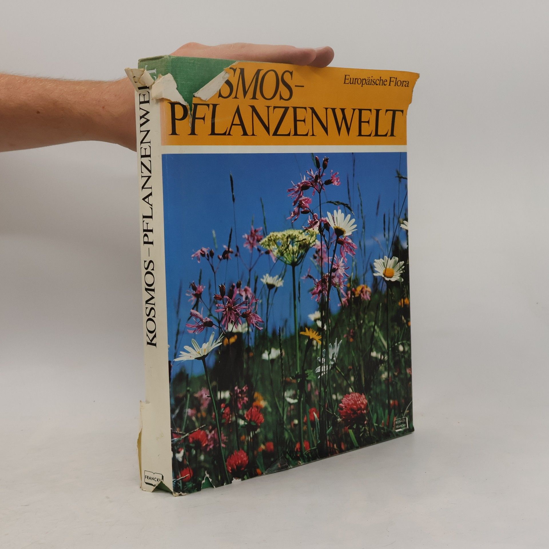 Jan Tříska Kosmos-Pflanzenwelt