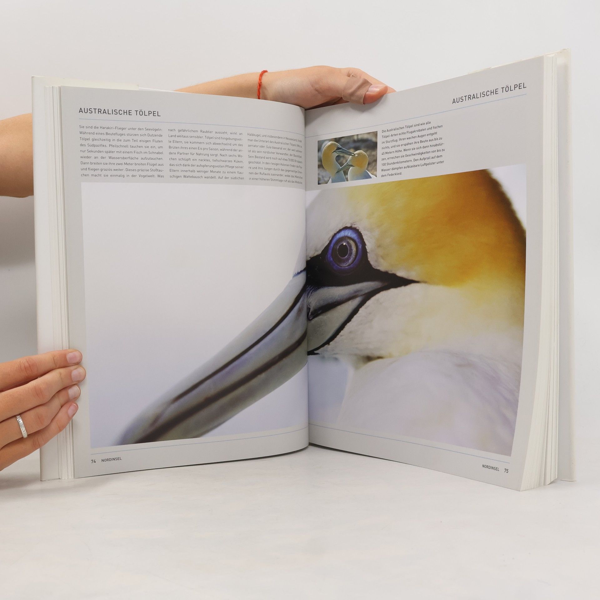 Birgit Adam Das Neuseeland-Buch - Magnum-Ausgabe