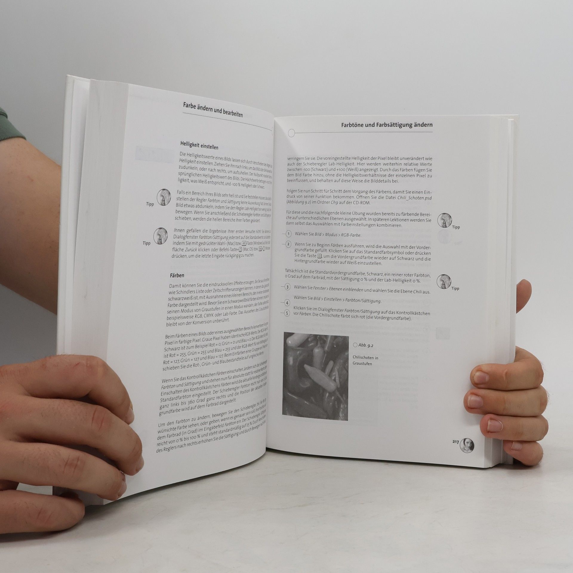 Steve Romaniello Photoshop 6 - das Buch