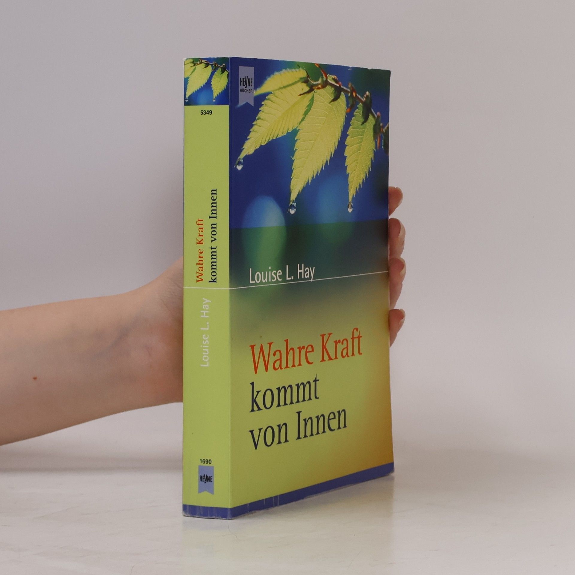 Lousie L. Hay Wahre Kraft kommt von innen