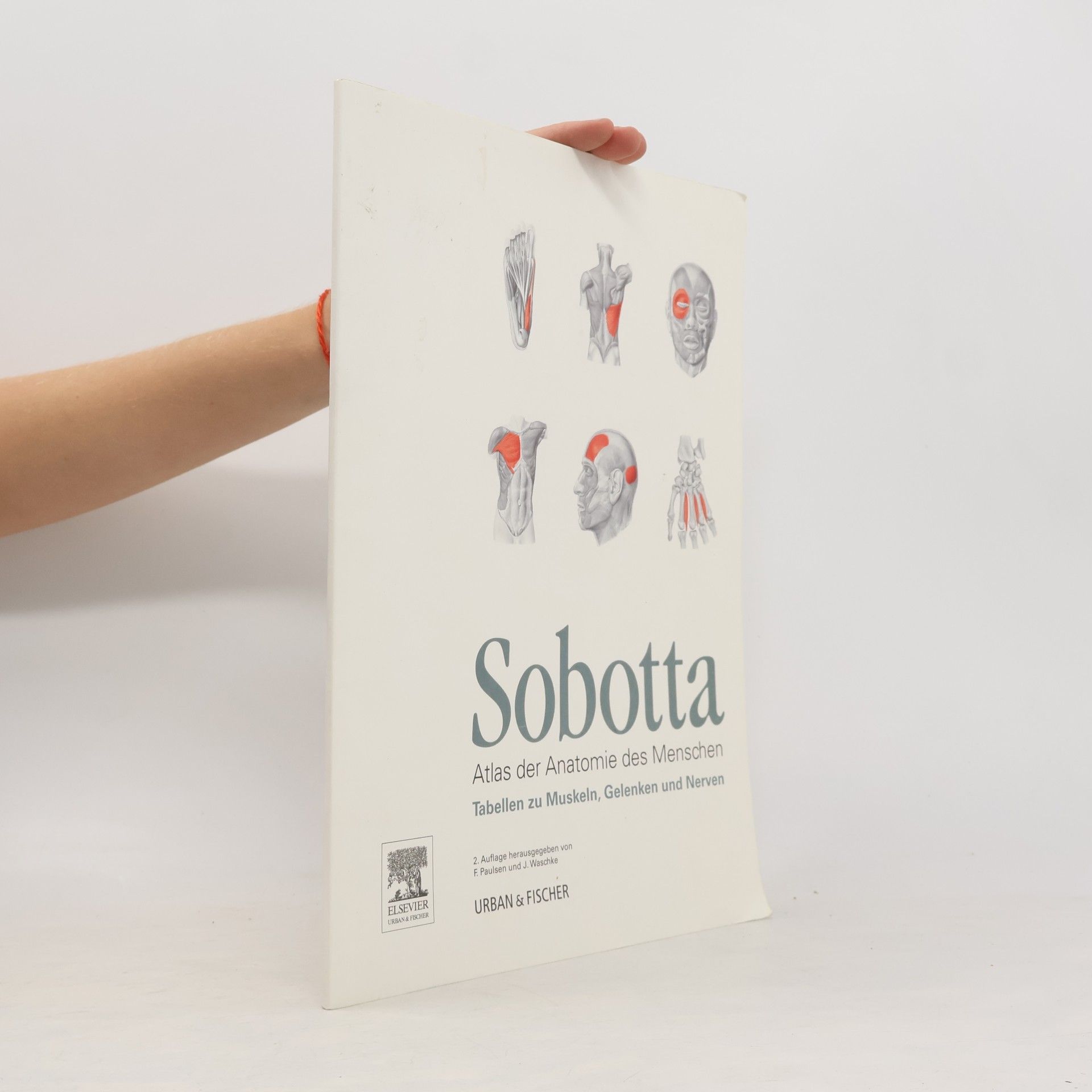 Johannes Sobotta Tabellen zu Muskeln, Gelenken und Nerven