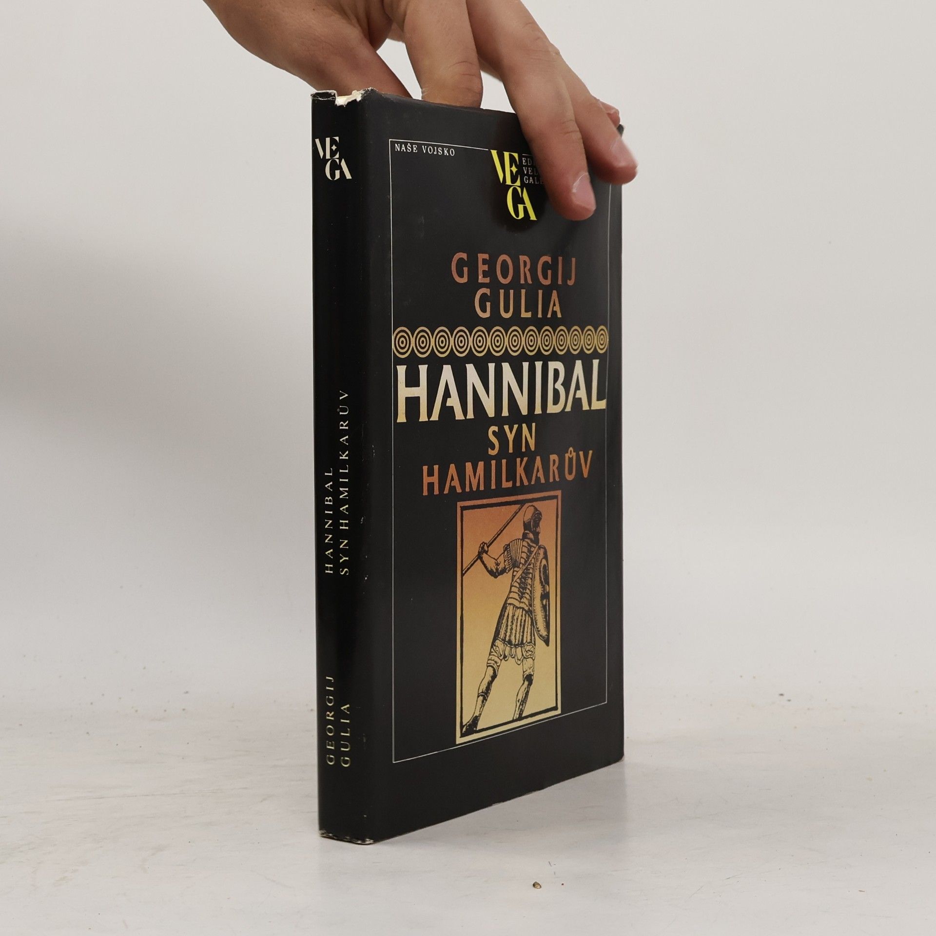 Hannibal, syn Hamilkarův