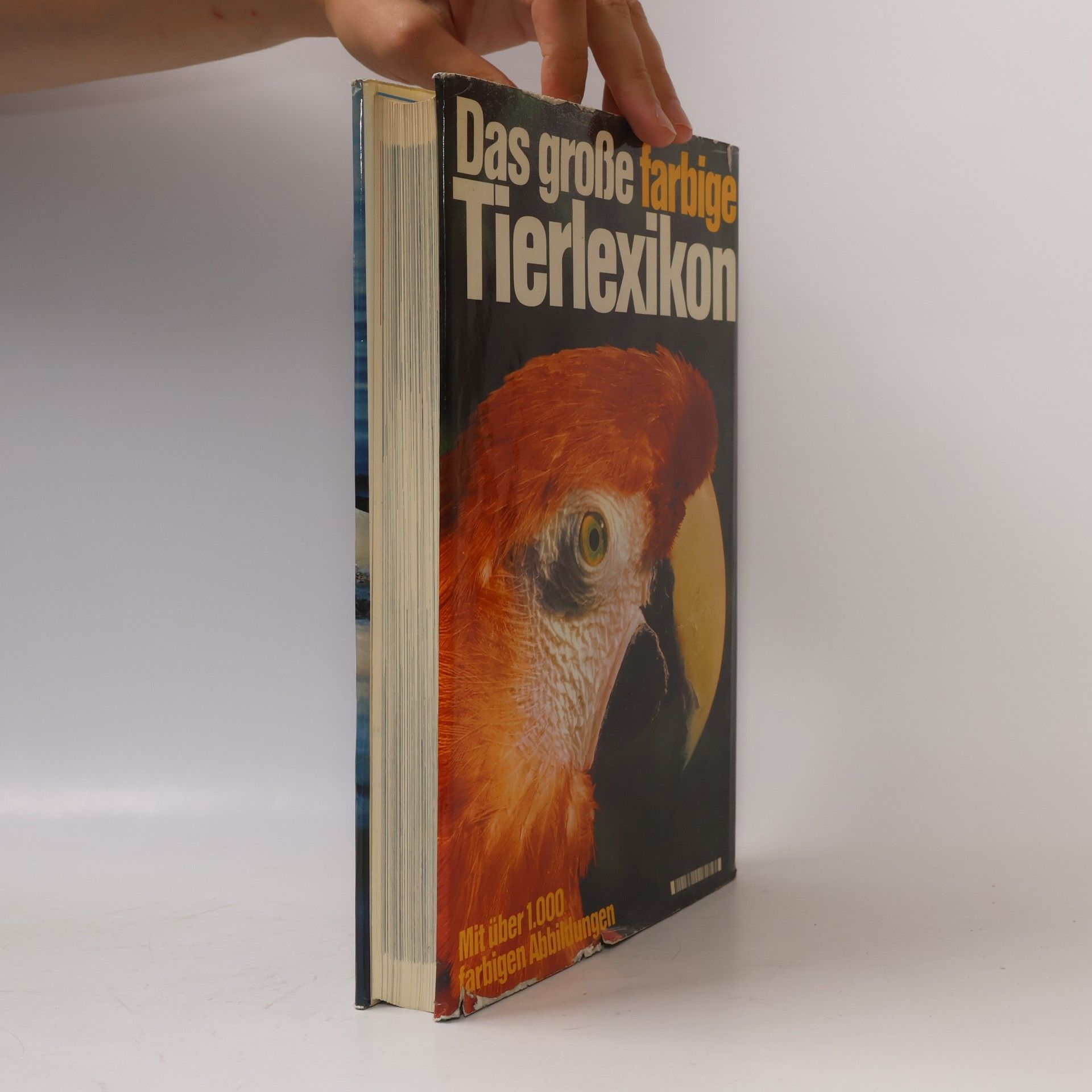 Autorenkollektiv Das große farbige Tierlexikon