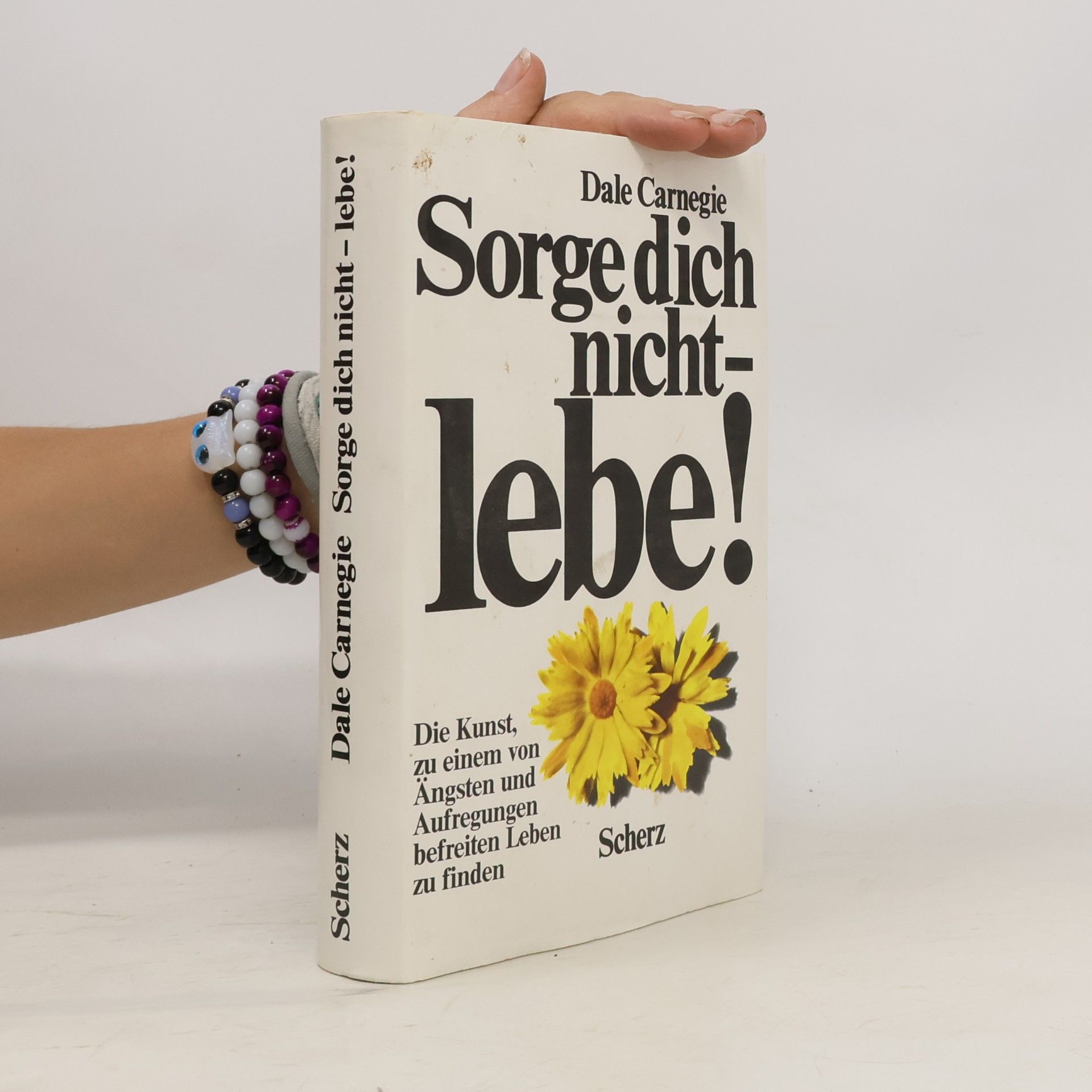 Dale Carnegie Sorge dich nicht - lebe!