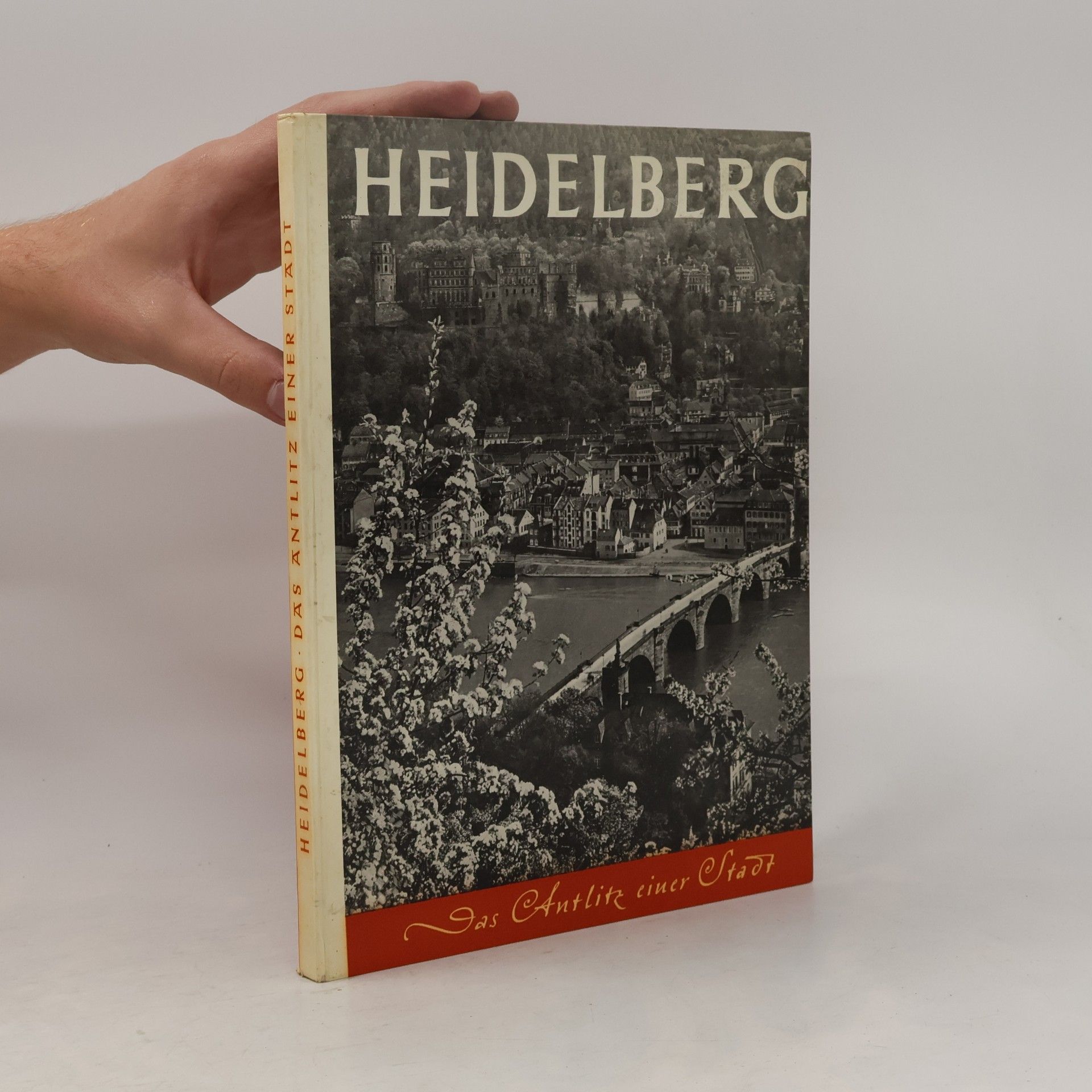 Rudolf Schuler Heidelberg. Das Antlitz einer Stadt