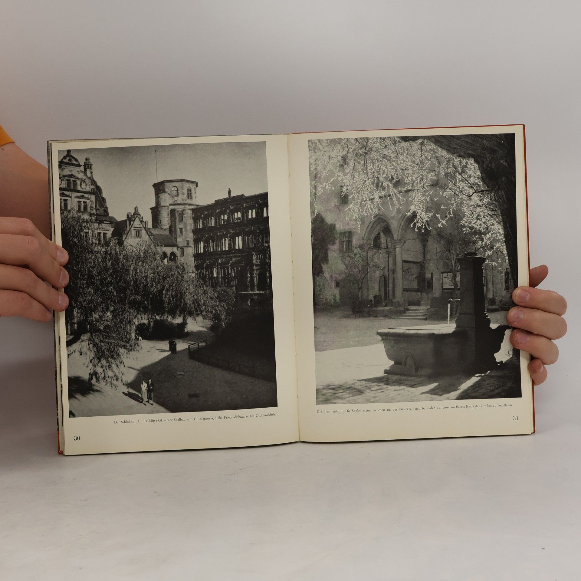 Rudolf Schuler Heidelberg. Das Antlitz einer Stadt