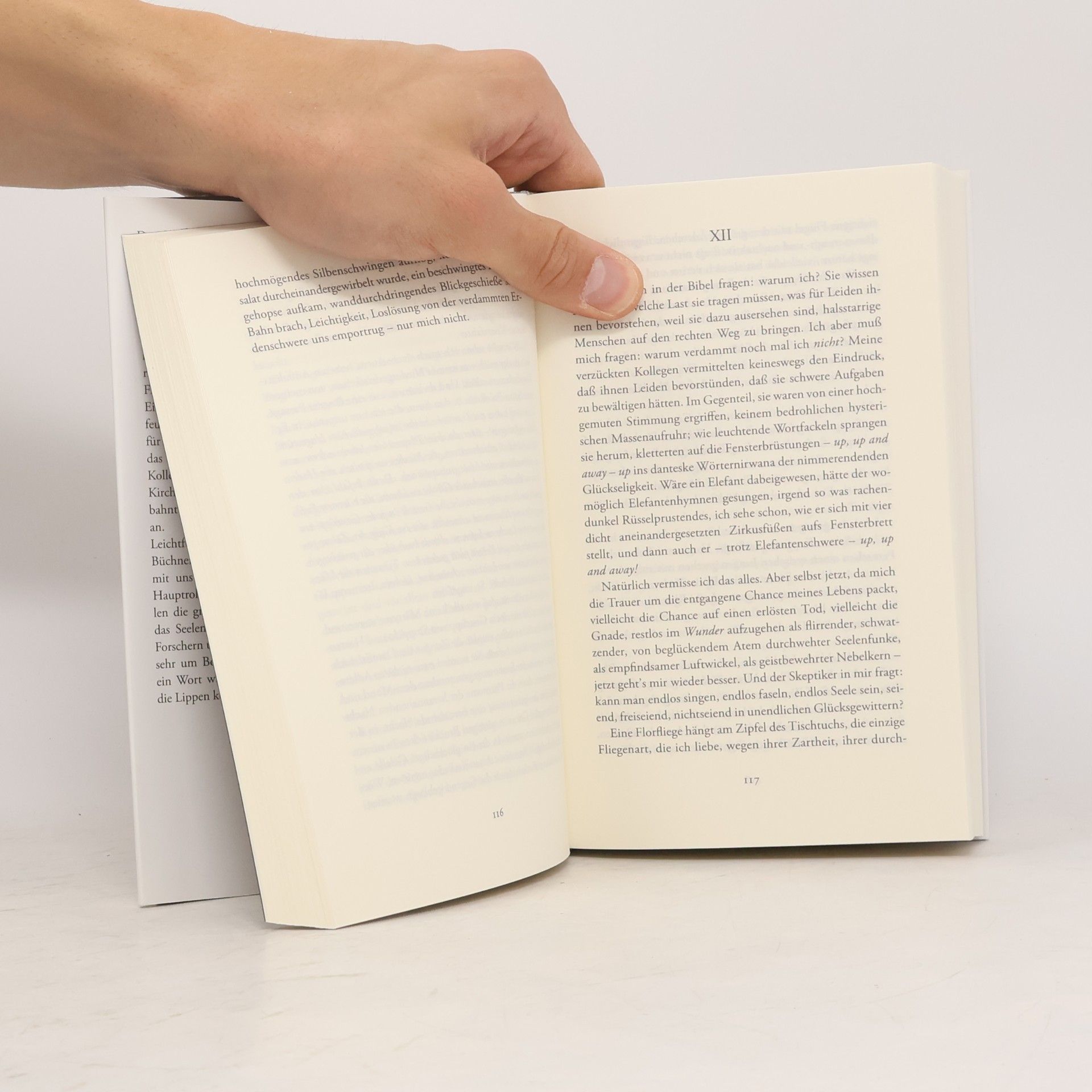 Sibylle Lewitscharoff Das Pfingstwunder