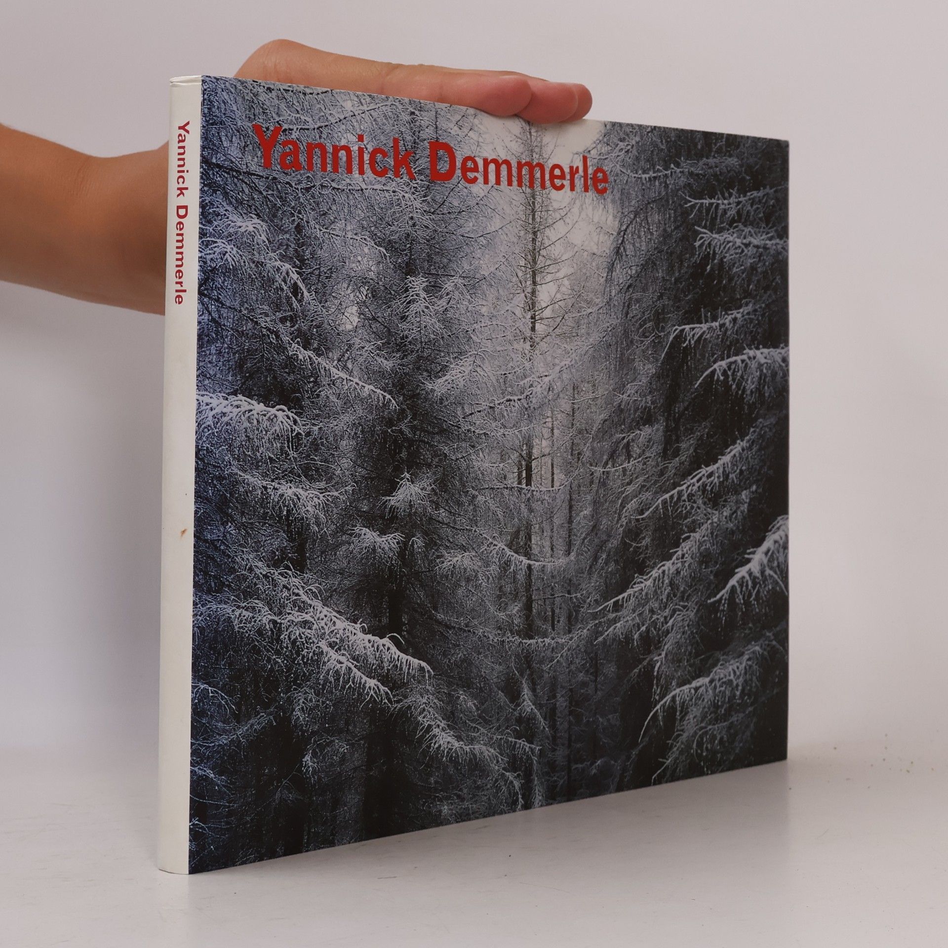 Yannick Demmerle Yannick Demmerle