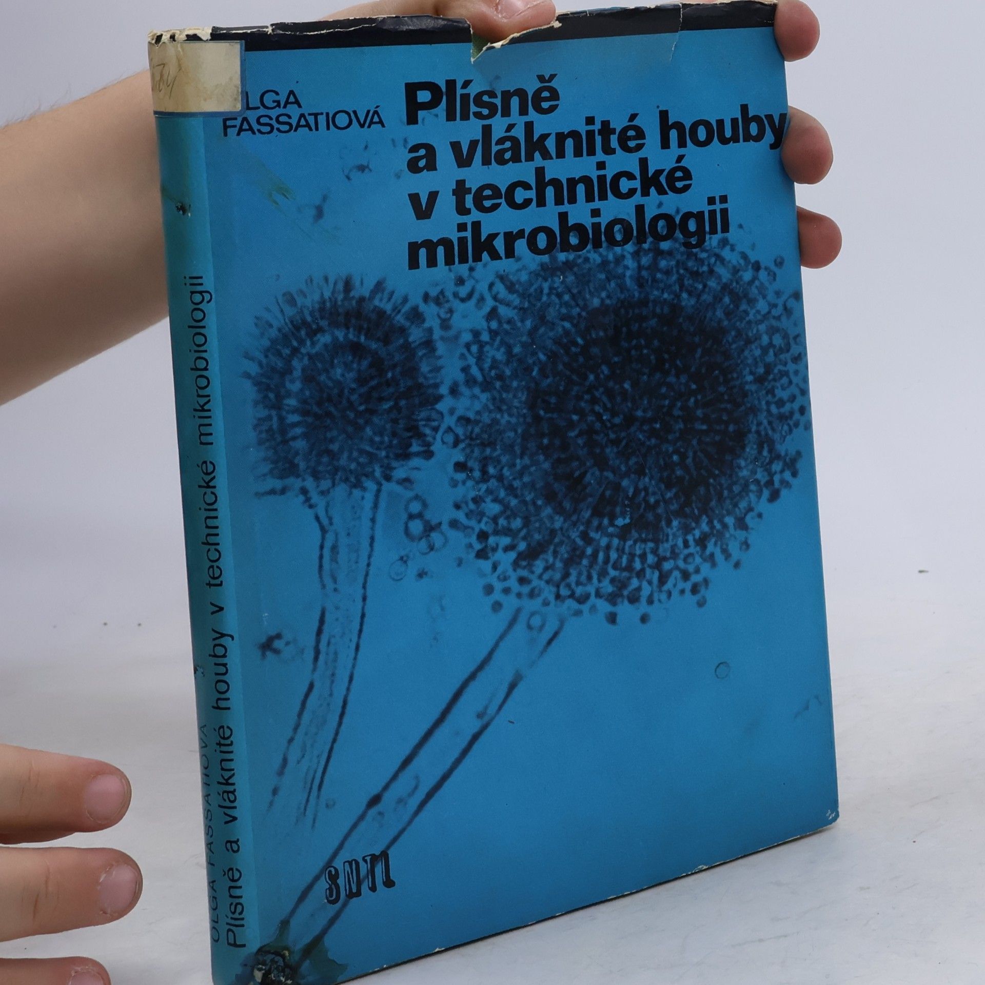 Olga Fassatiová Plísně a vláknité houby v technické mikrobiologii