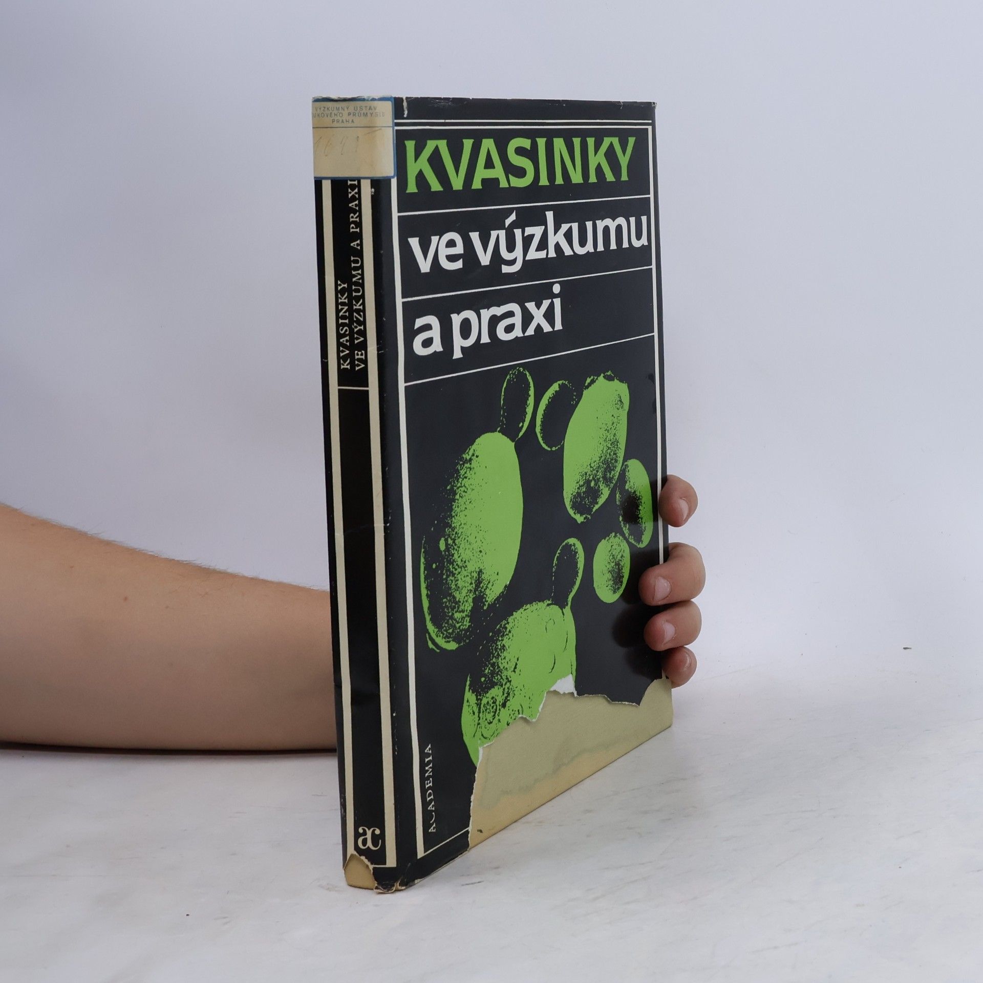 Kvasinky ve výzkumu a praxi