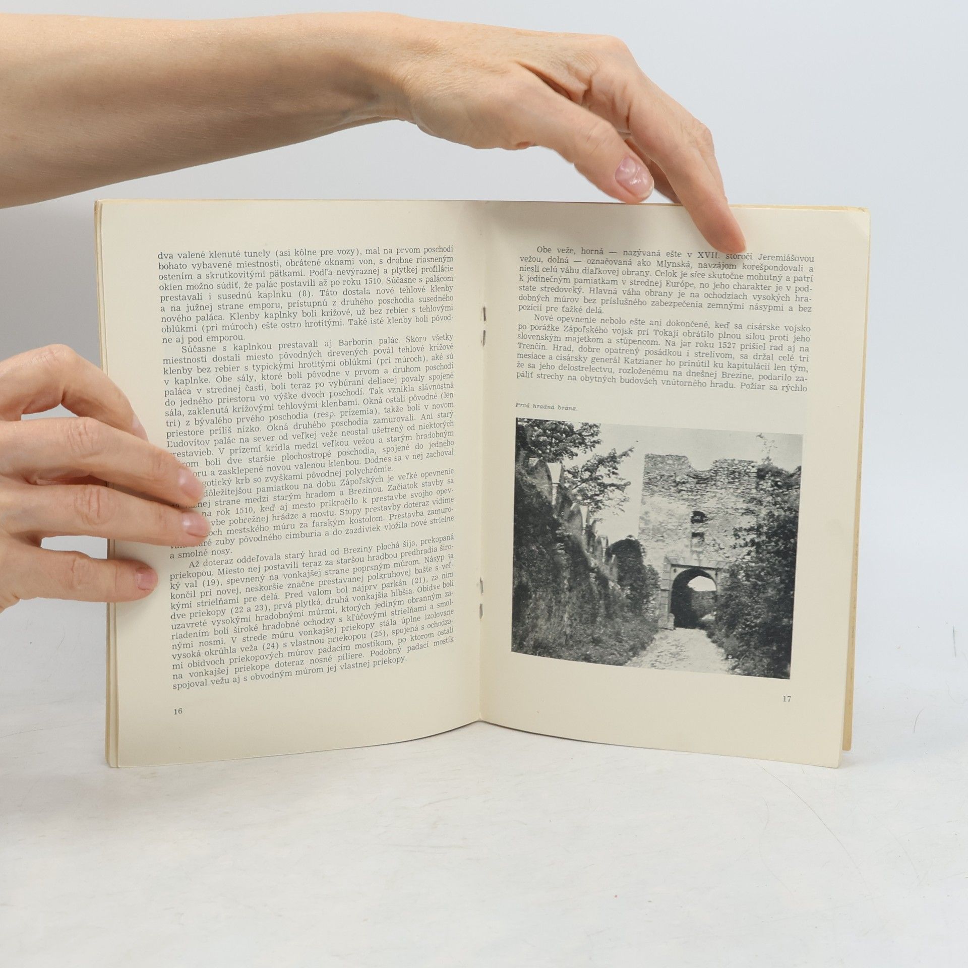 Collectif d'auteurs Štátny hrad Trenčín a okolie