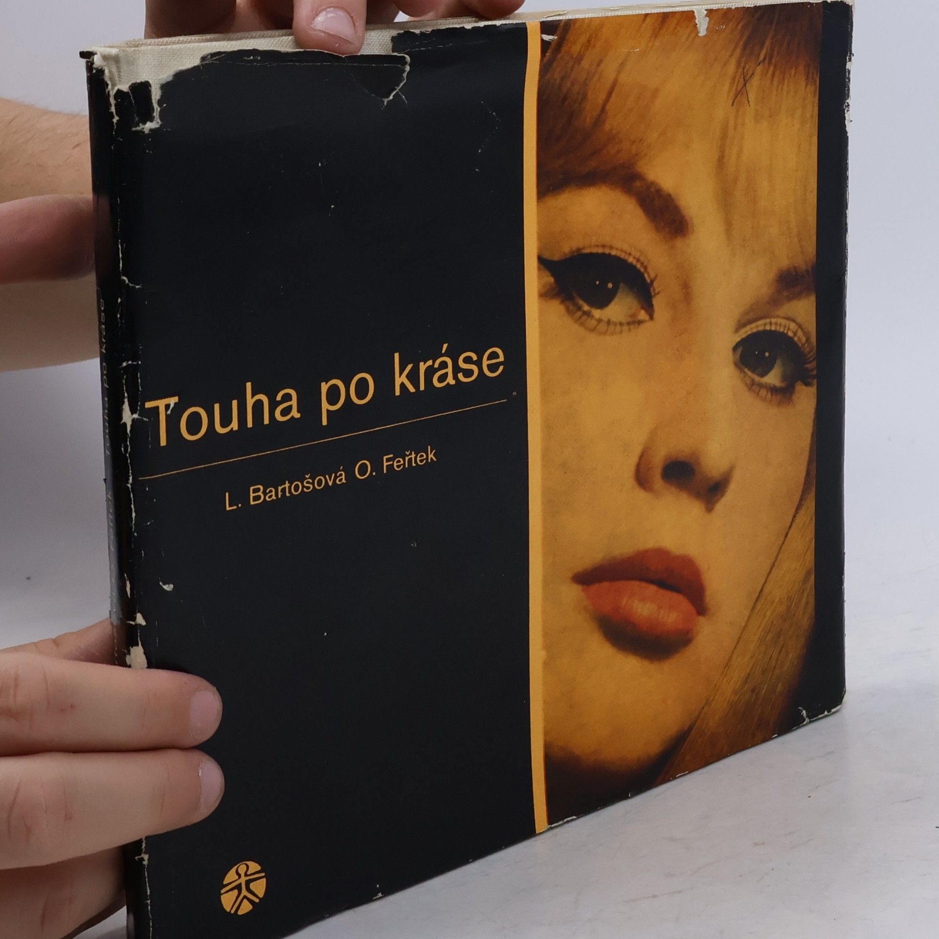 Ludmila Bartošová Touha po kráse