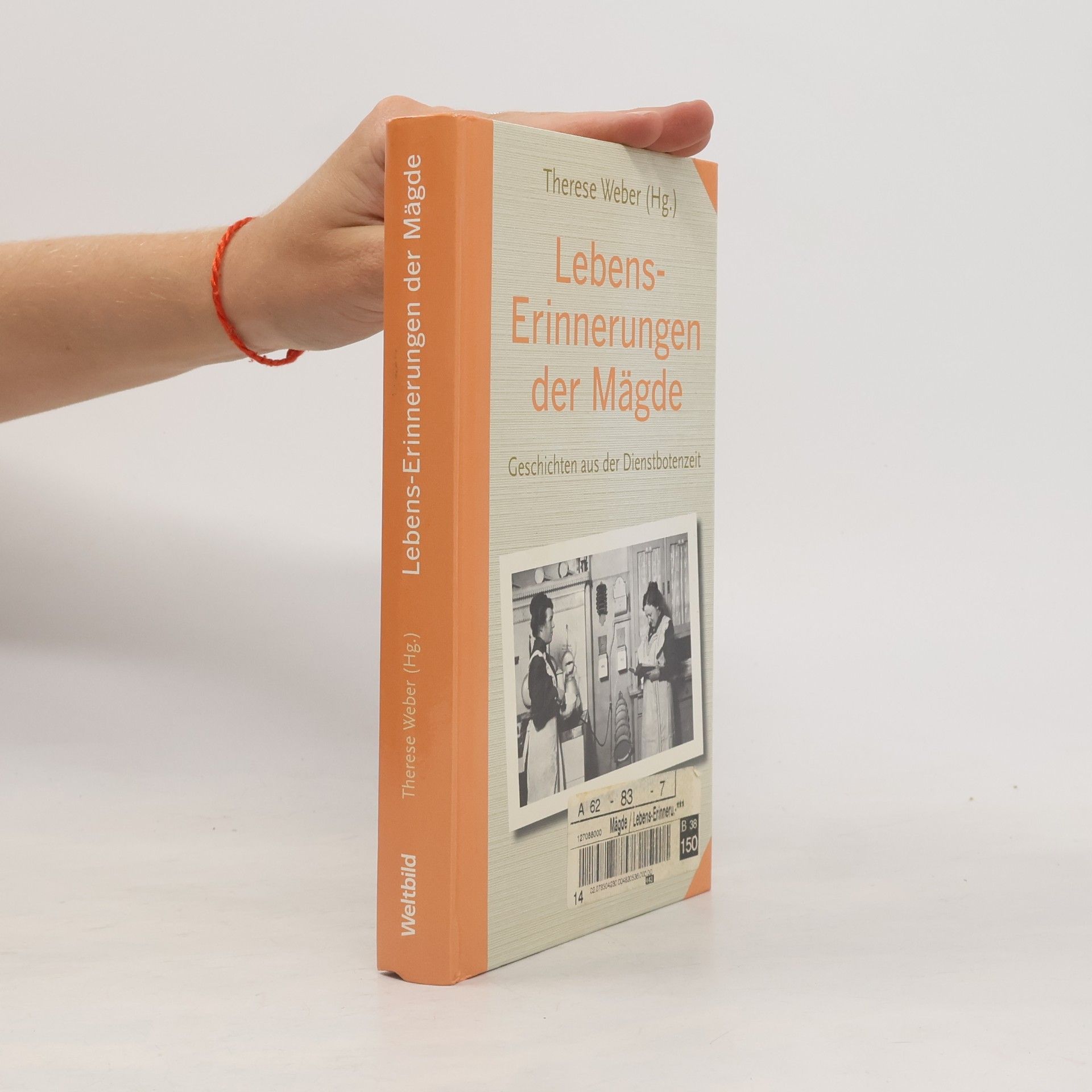 Therese Weber Lebenserinnerungen der Mägde. Geschichten aus der Dienstbotenzeit