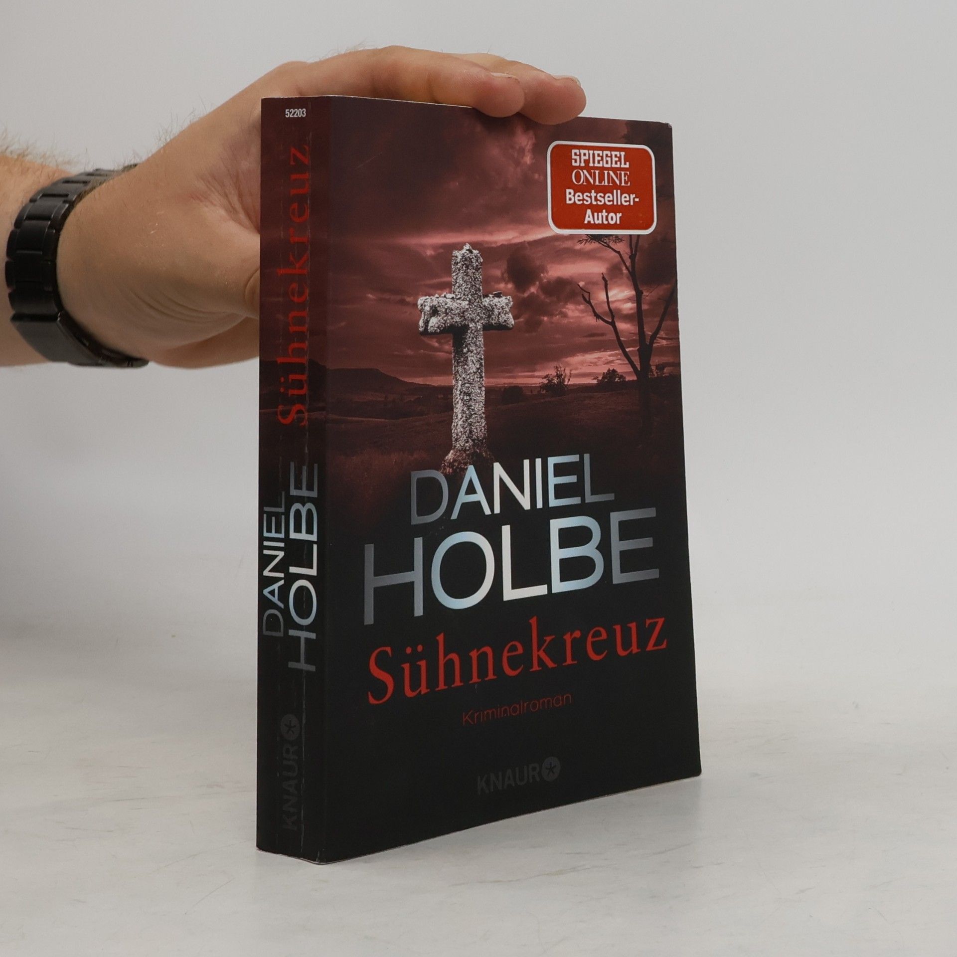 Daniel Holbe Sühnekreuz