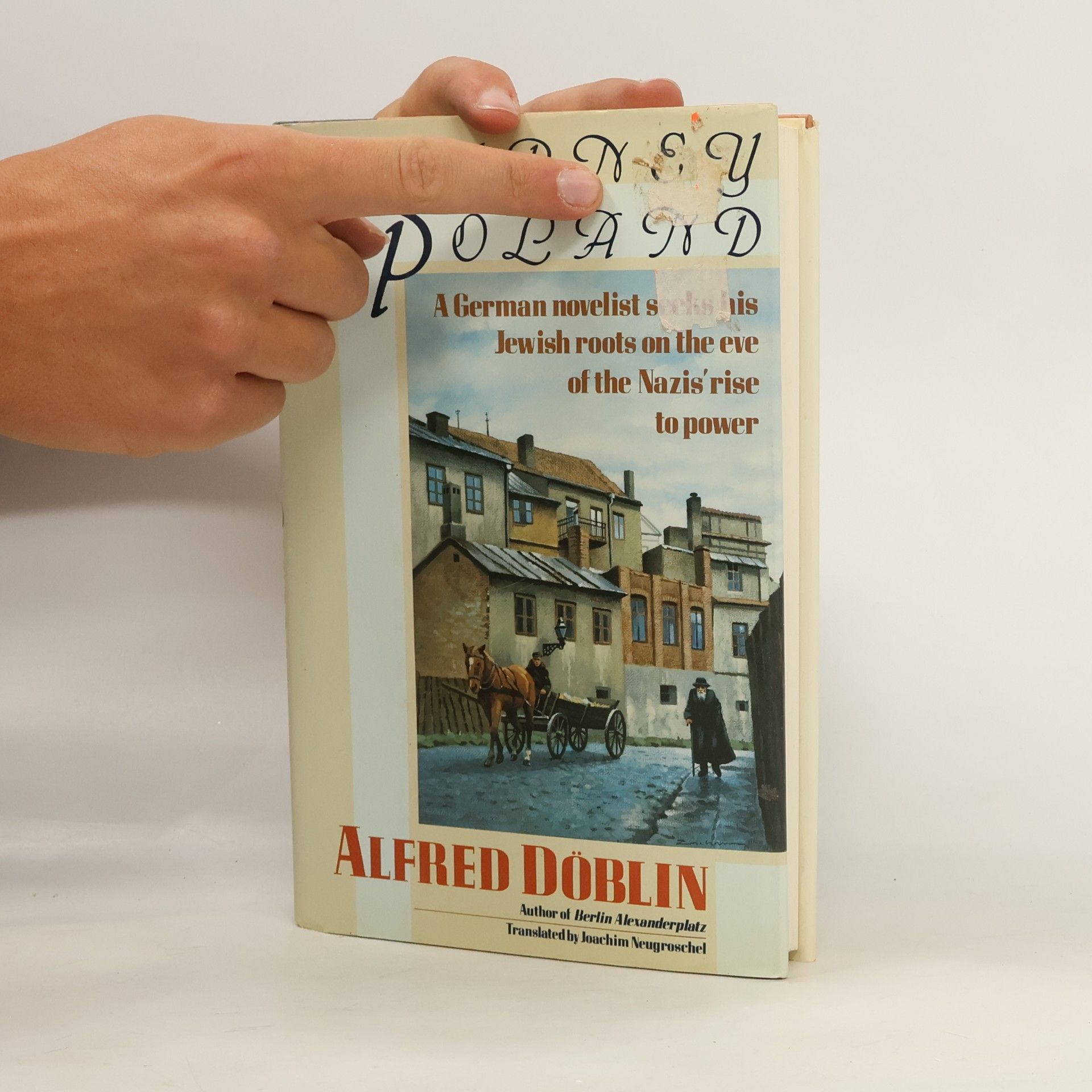 Alfred Döblin Journey to Poland