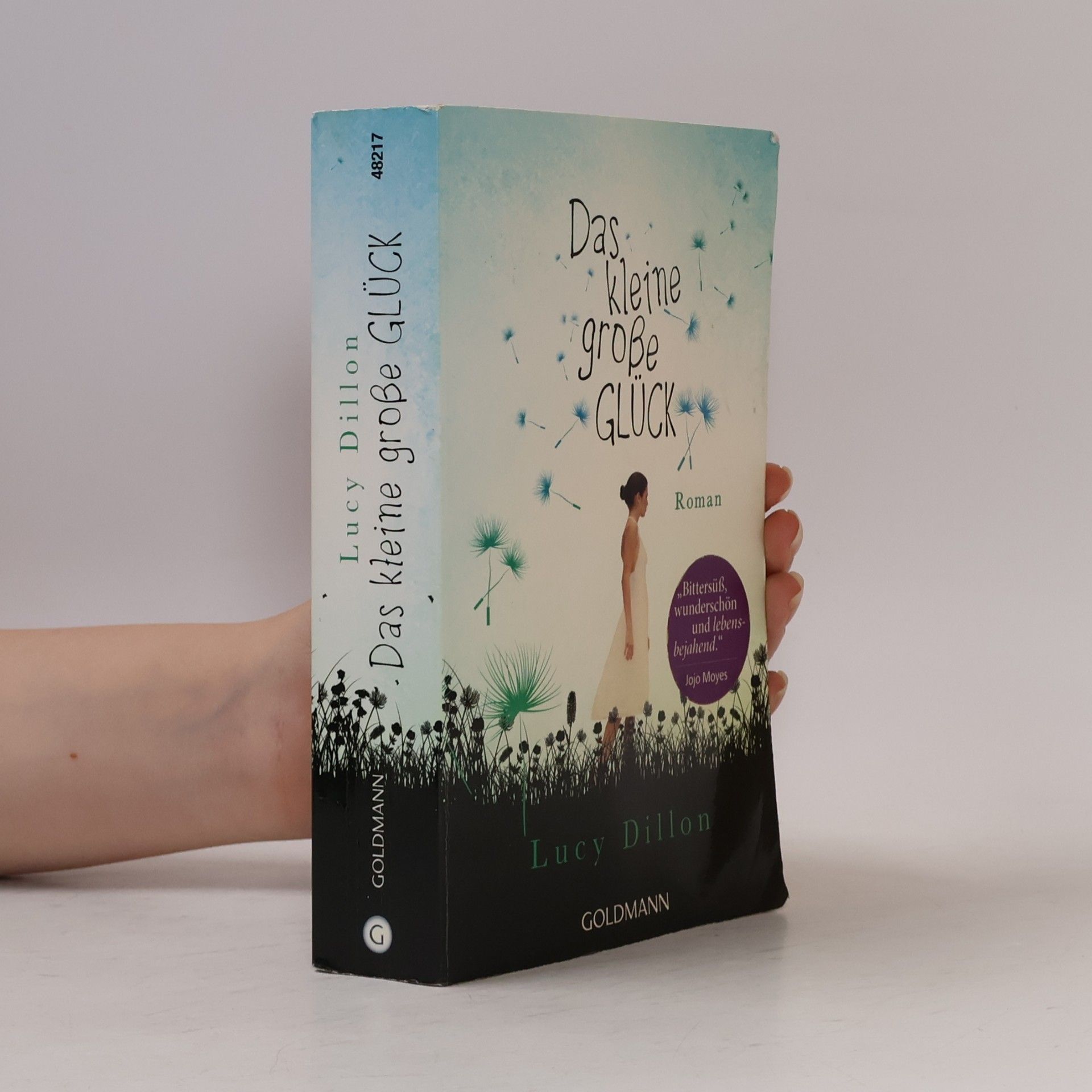 Lucy Dillon Das kleine große Glück
