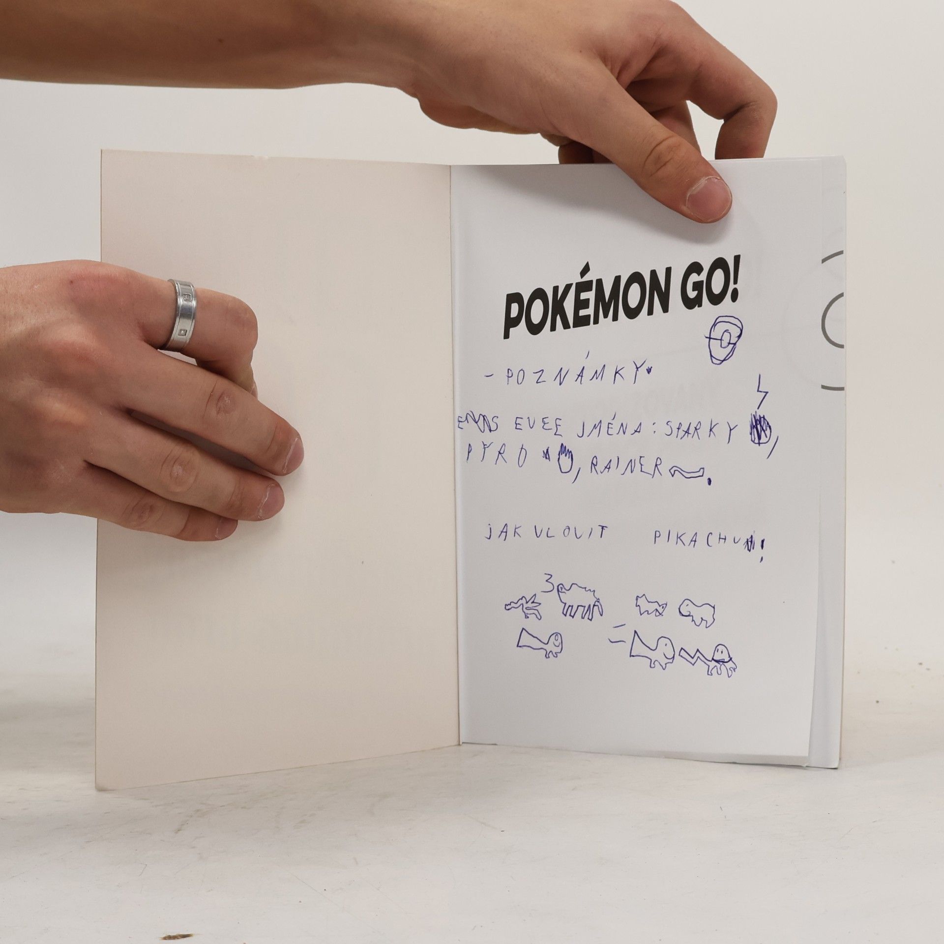 Cara Copperman Pokémon GO! : neautorizovaný průvodce hrou