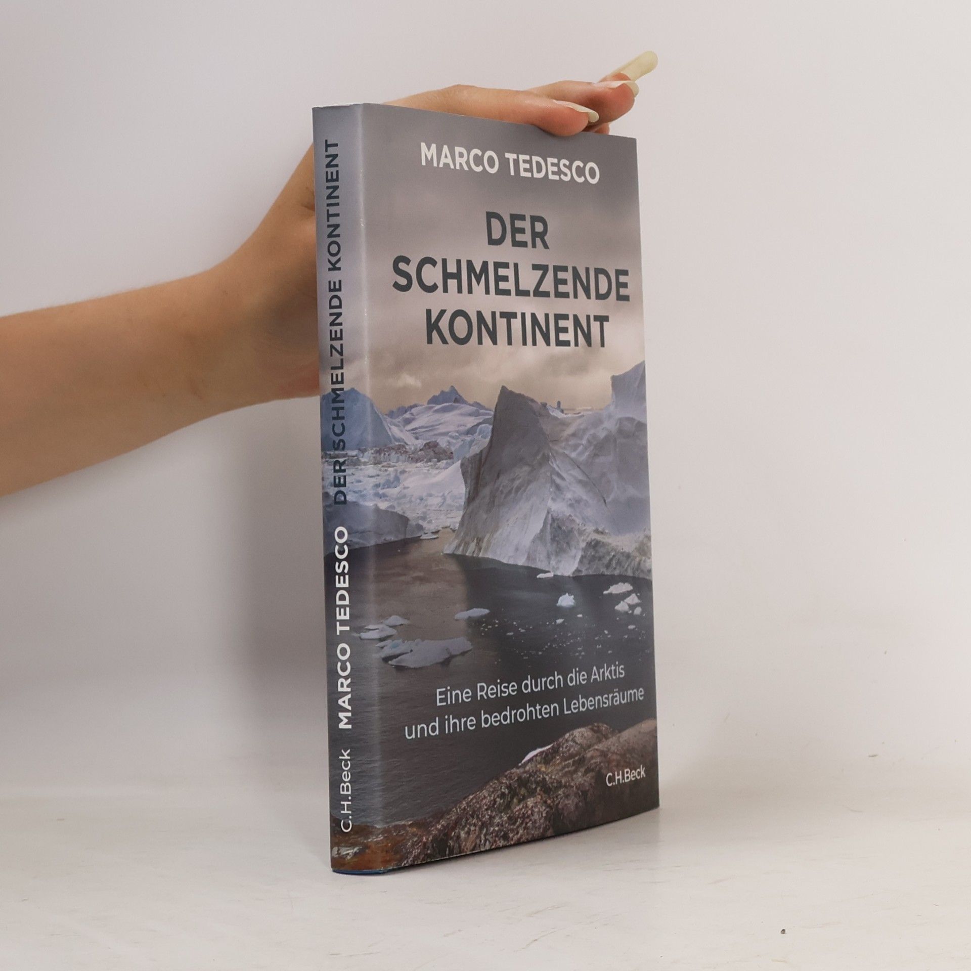 Marco Tedesco Der schmelzende Kontinent