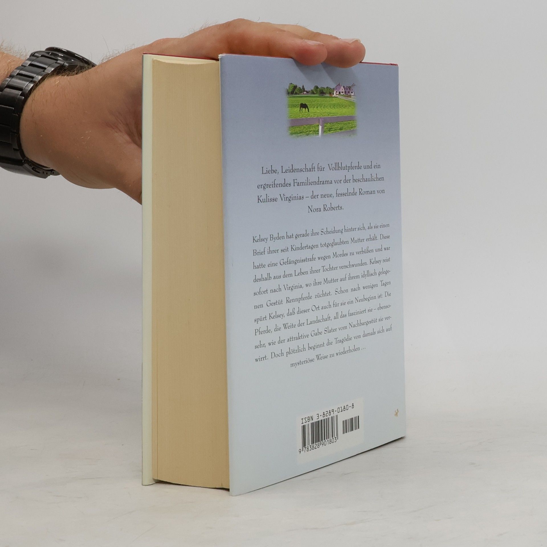 Nora Roberts Schatten über den Weiden