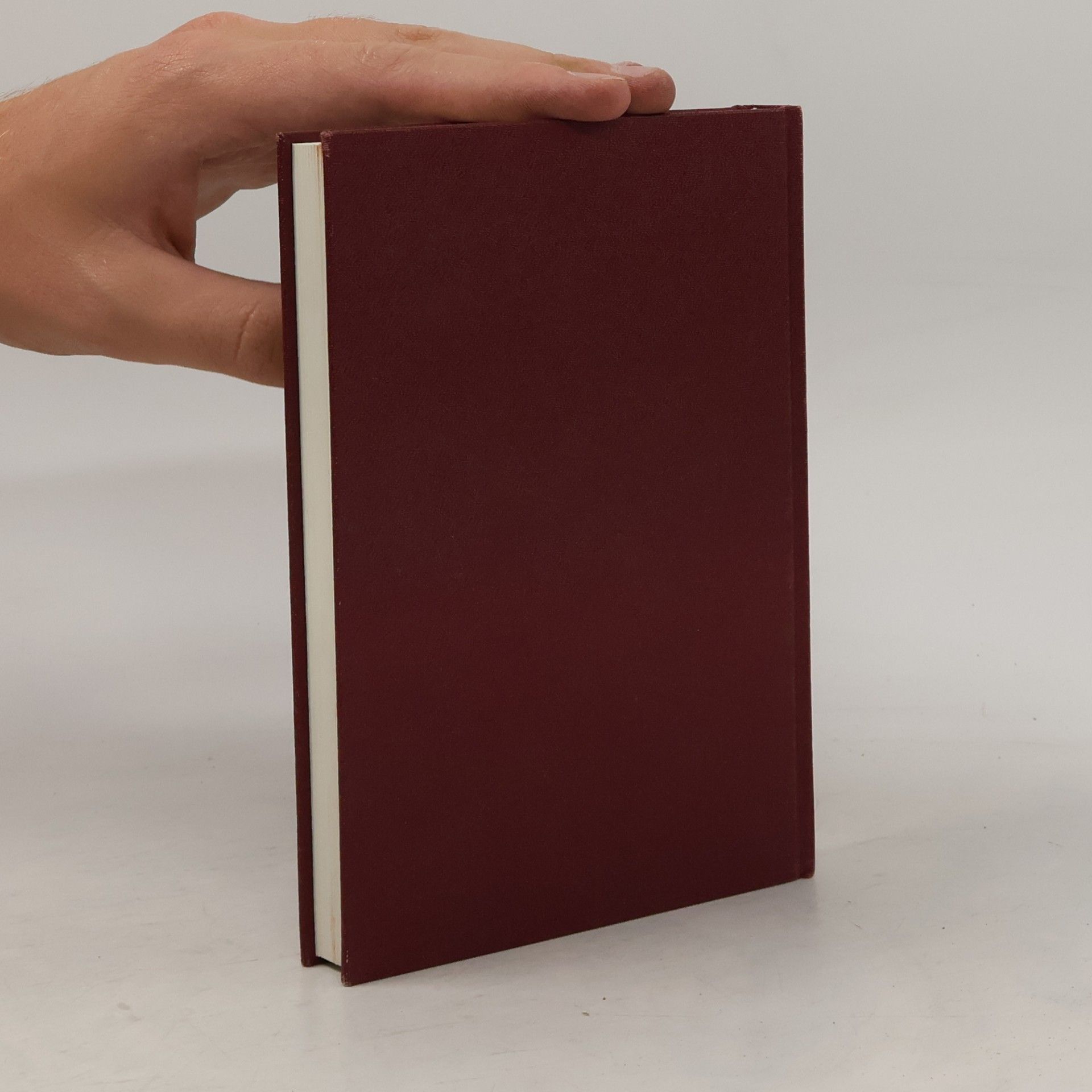 Bogomir Ecker Prototypen