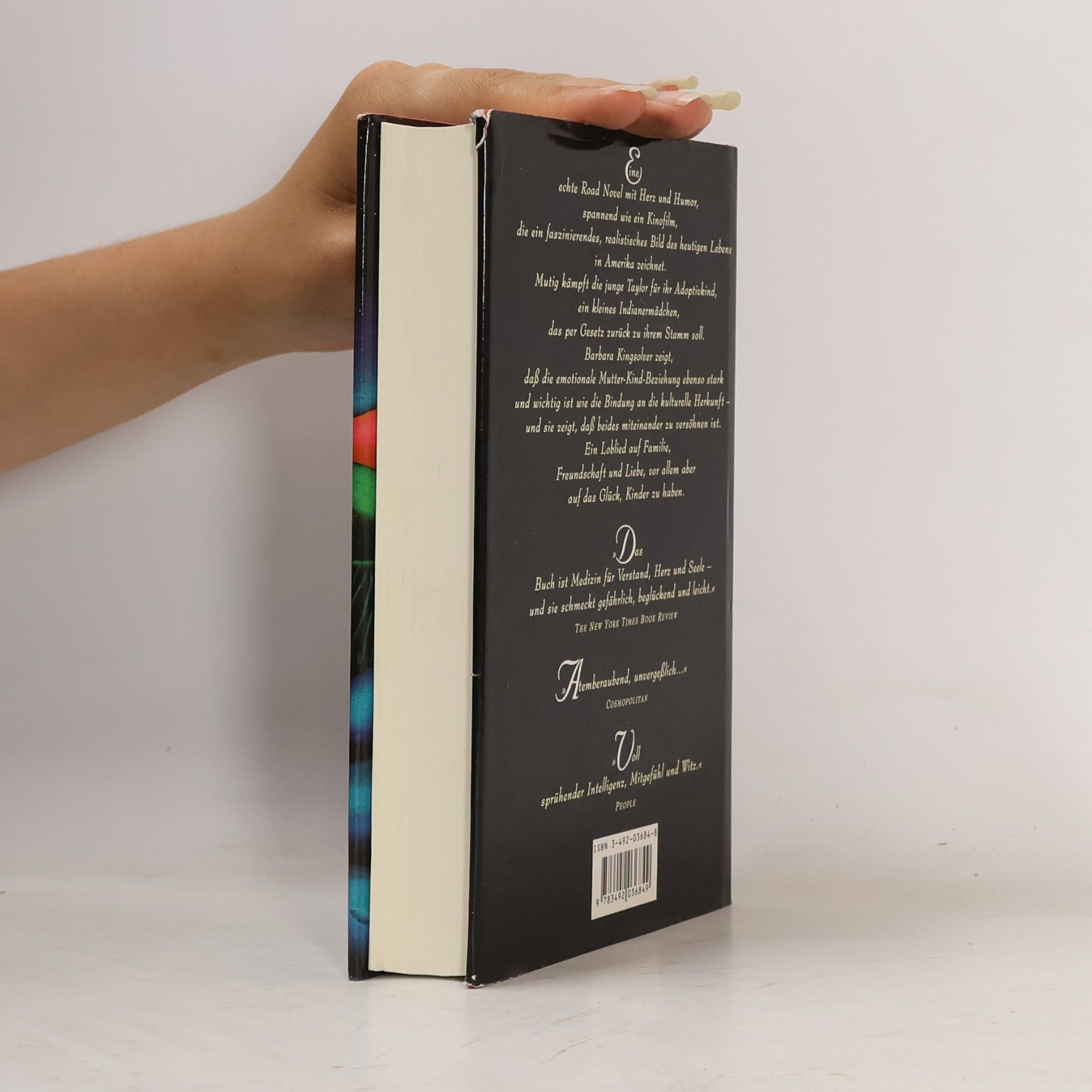 Barbara Kingsolver Siebengestirn