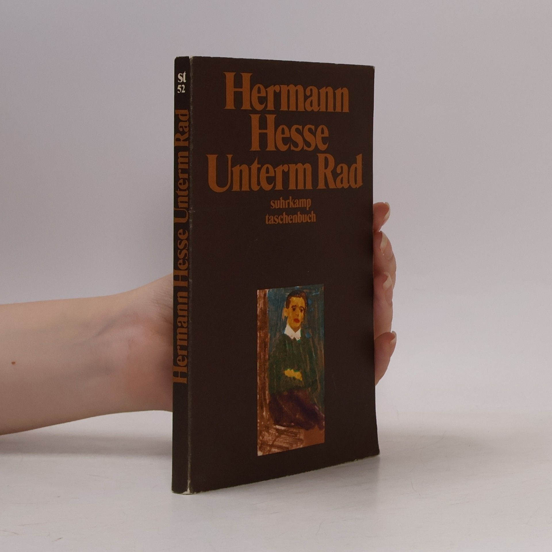 Hermann Hesse Unterm Rad