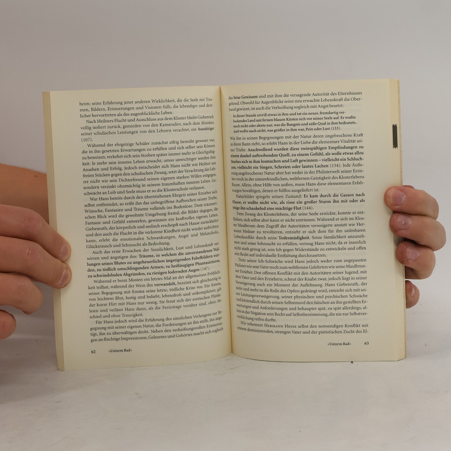 Helga Esselborn-Krumbiegel Hermann Hesse, Demian - die Geschichte von Emil Sinclairs Jugend, Jugend, Unterm Rad