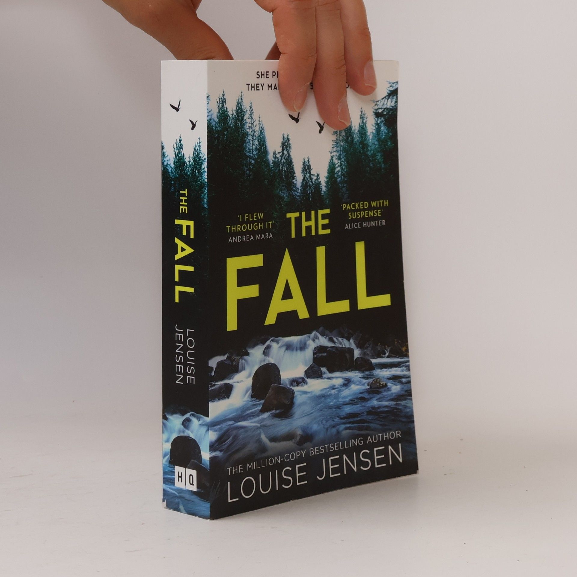 Louise Jensen The Fall