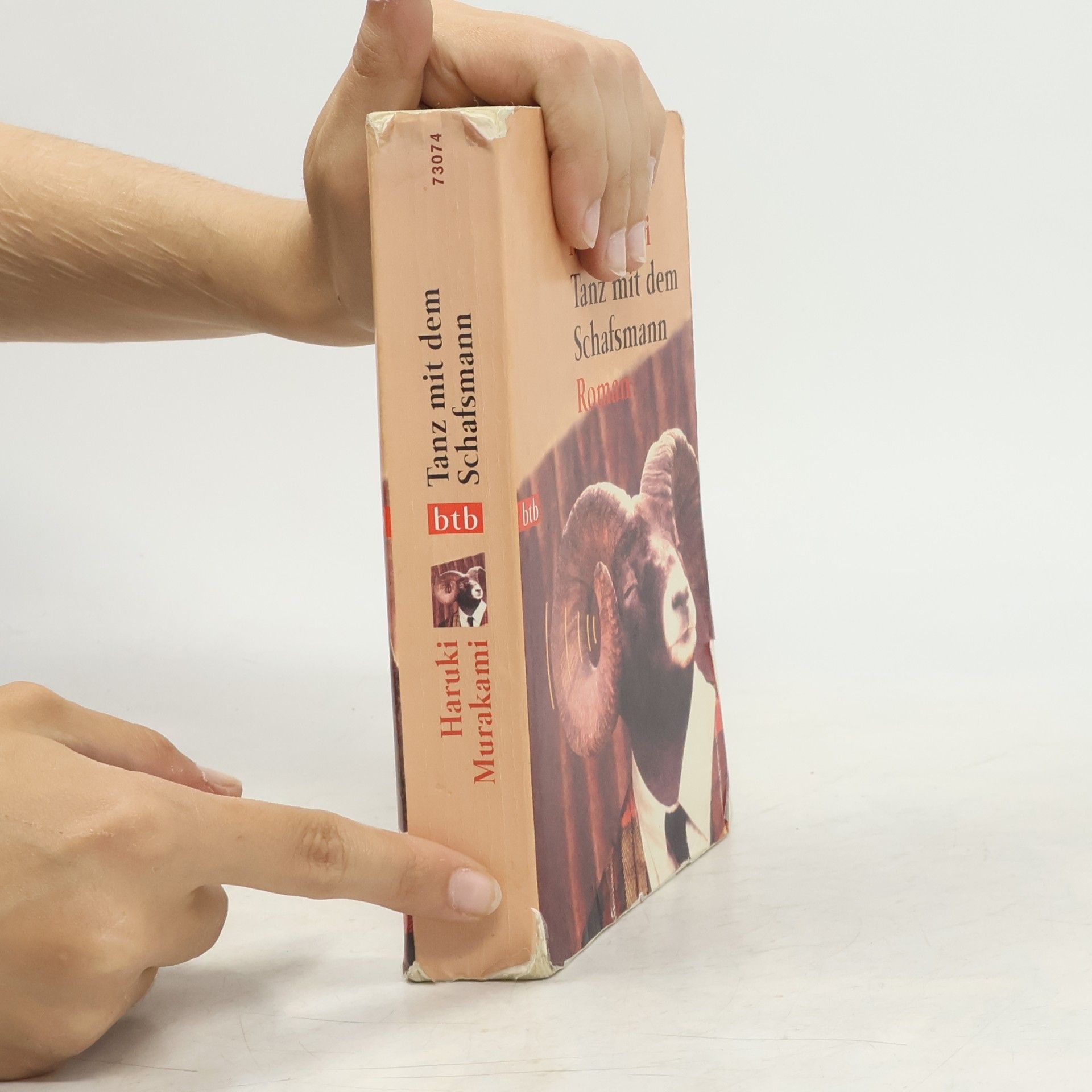 Haruki Murakami Tanz mit dem Schafsmann
