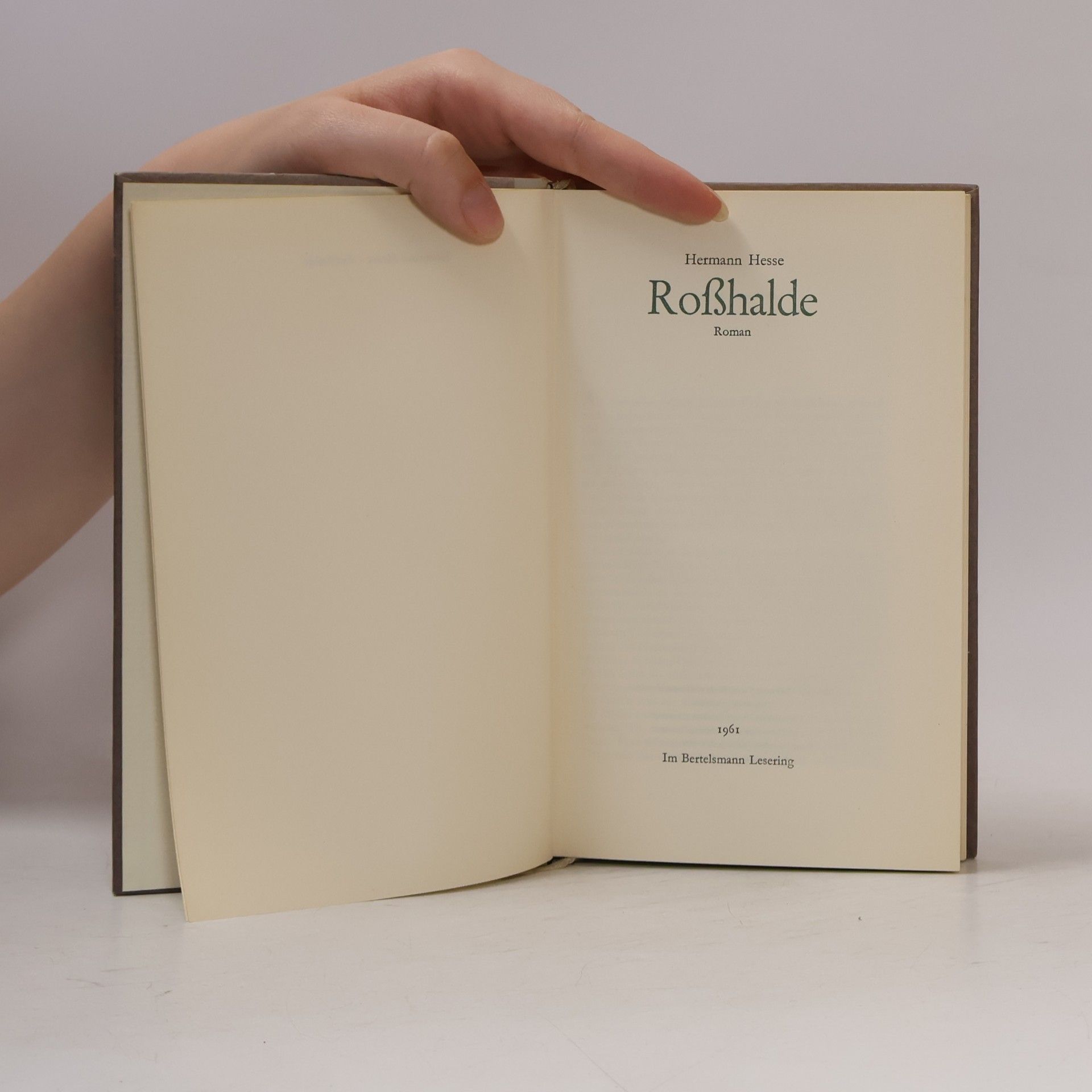 Hermann Hesse Roßhalde