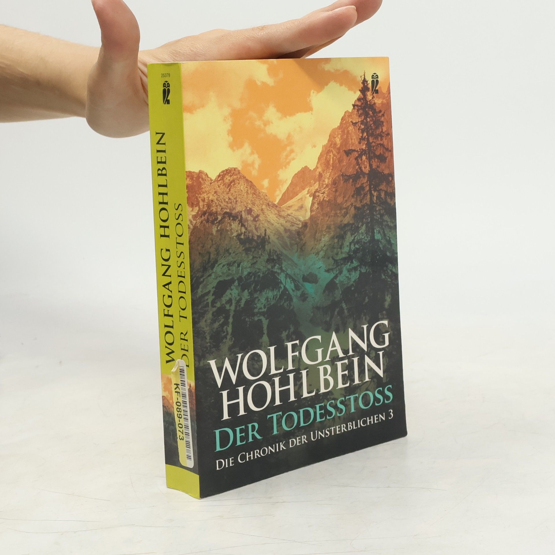 Wolfgang Hohlbein Die Chronik der Unsterblichen. Der Todesstoss