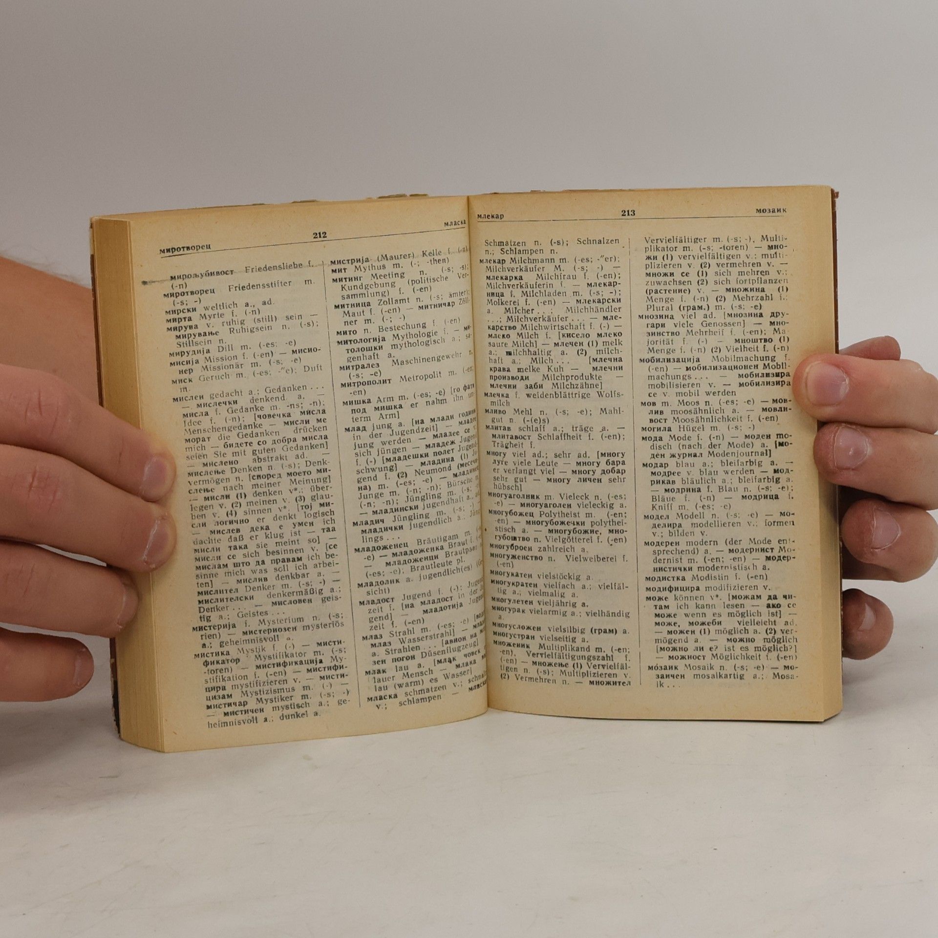 Autorenkollektiv Мал македонско германски речник 2