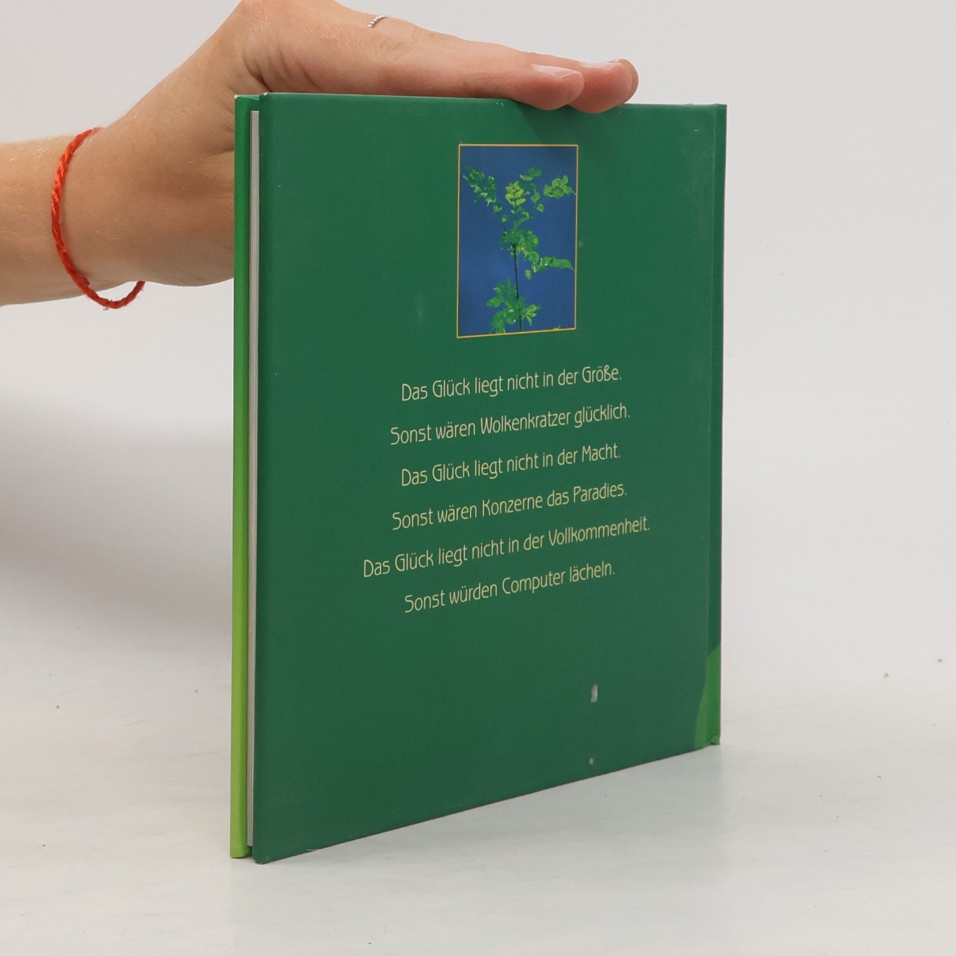 Autorenkollektiv Das kleine Buch vom Glücklichsein
