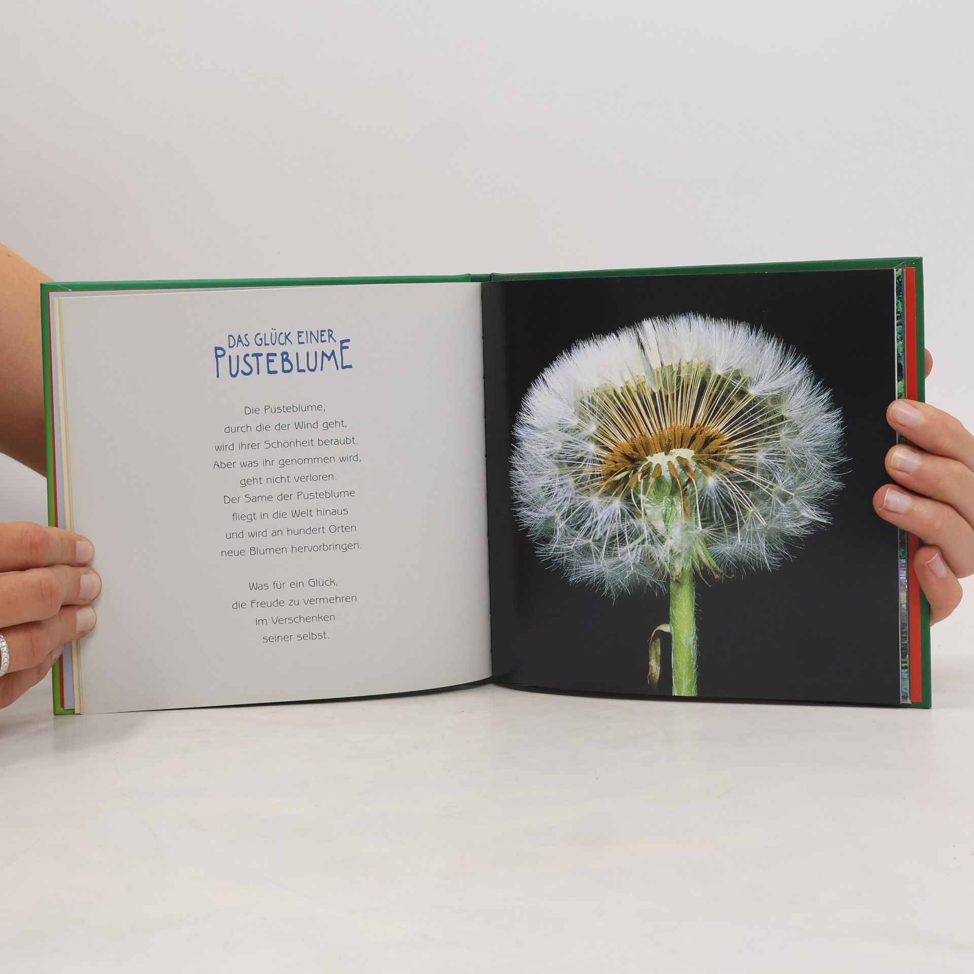 Autorenkollektiv Das kleine Buch vom Glücklichsein