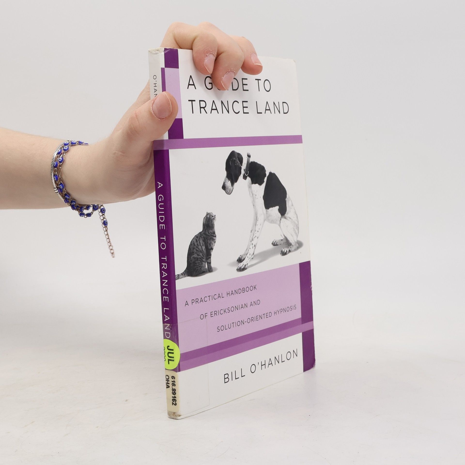 William Hudson O. Hanlon A Guide to Trance Land: A Practical Handbook of Ericksonian and Solution-Oriented Hypnosis