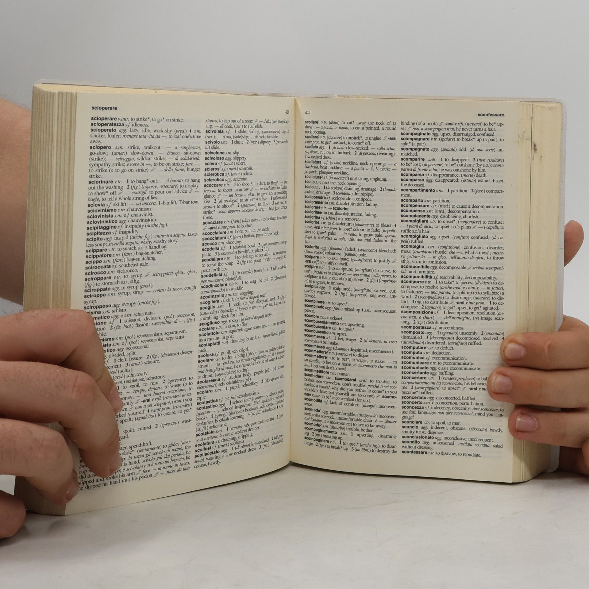 Lucia Incerti Caselli Harrap's Concise Italian-English, English-Italian Dictionary