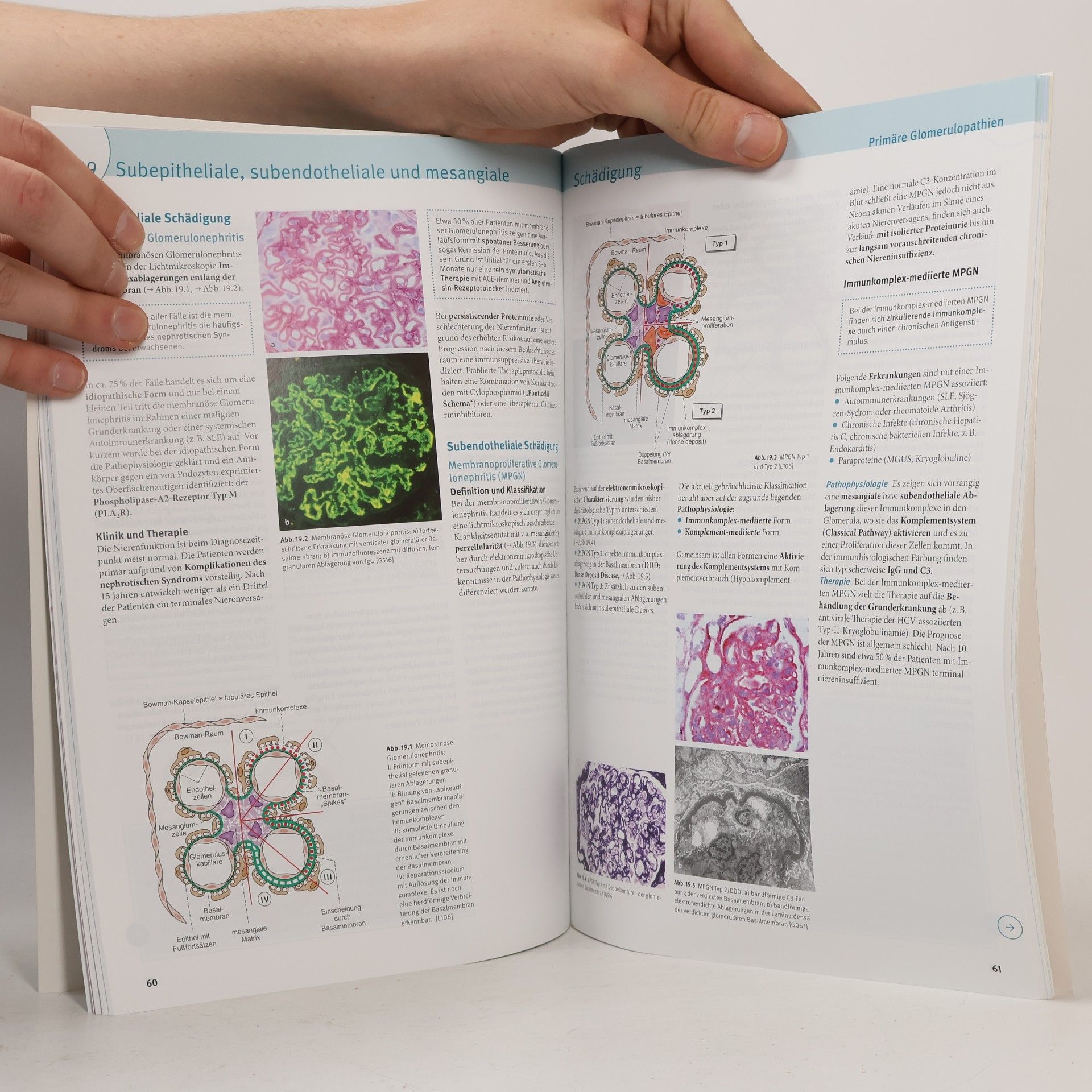 Stefan Kassumeh Basics Nephrologie und Rheumatologie