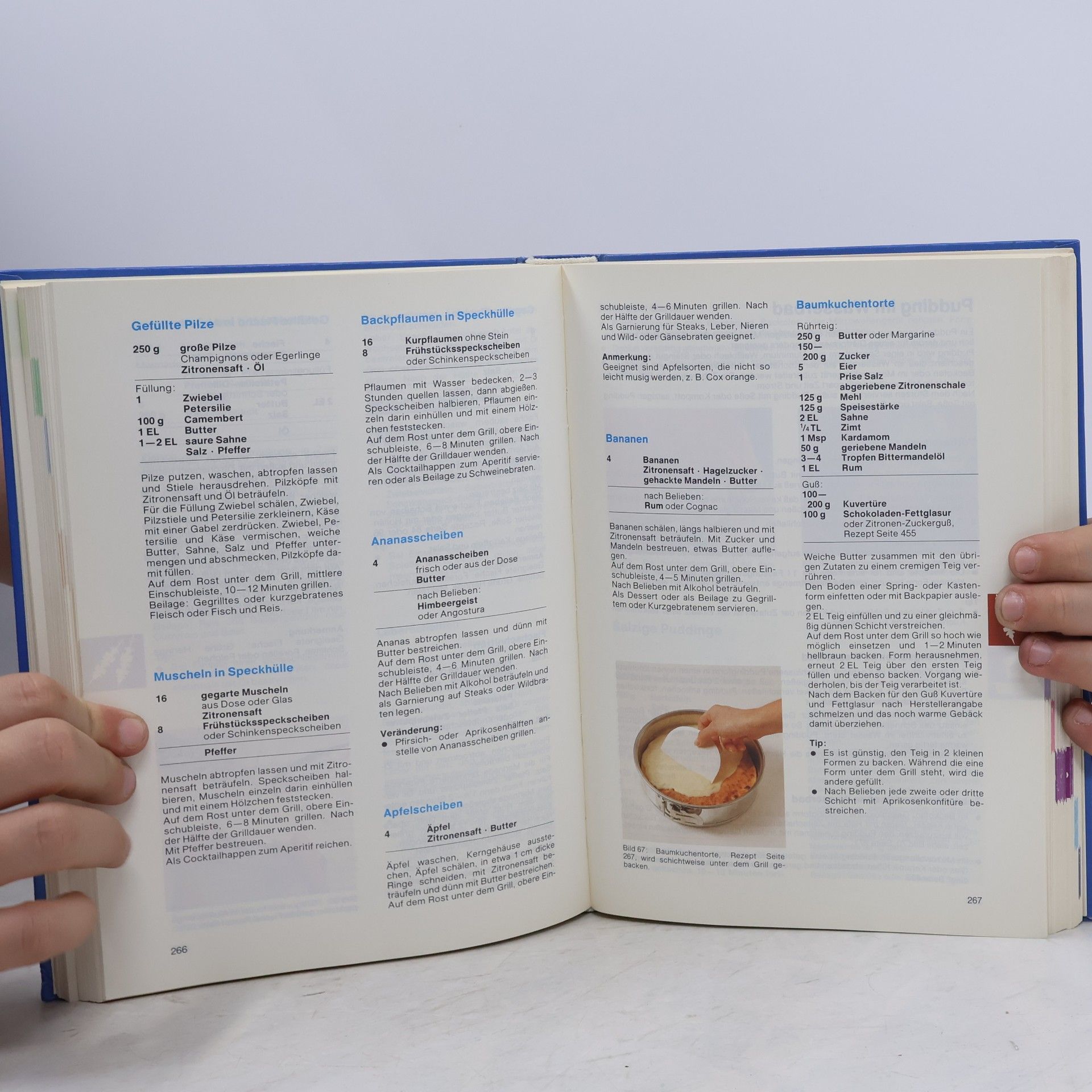 Elisabeth Meyer Das elektrische Kochen