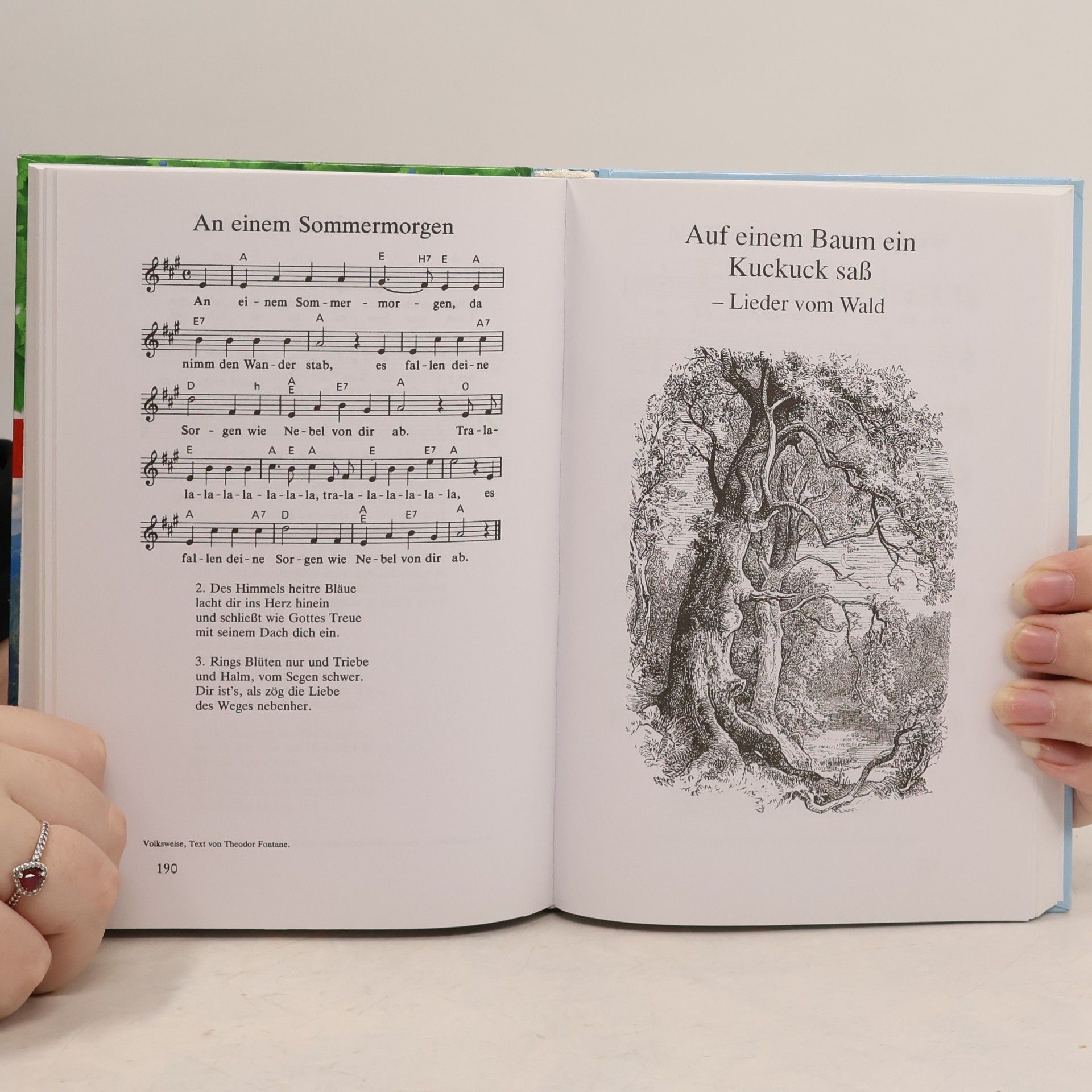 Das große Buch der deutschen Volkslieder: Alle Lieder und Noten