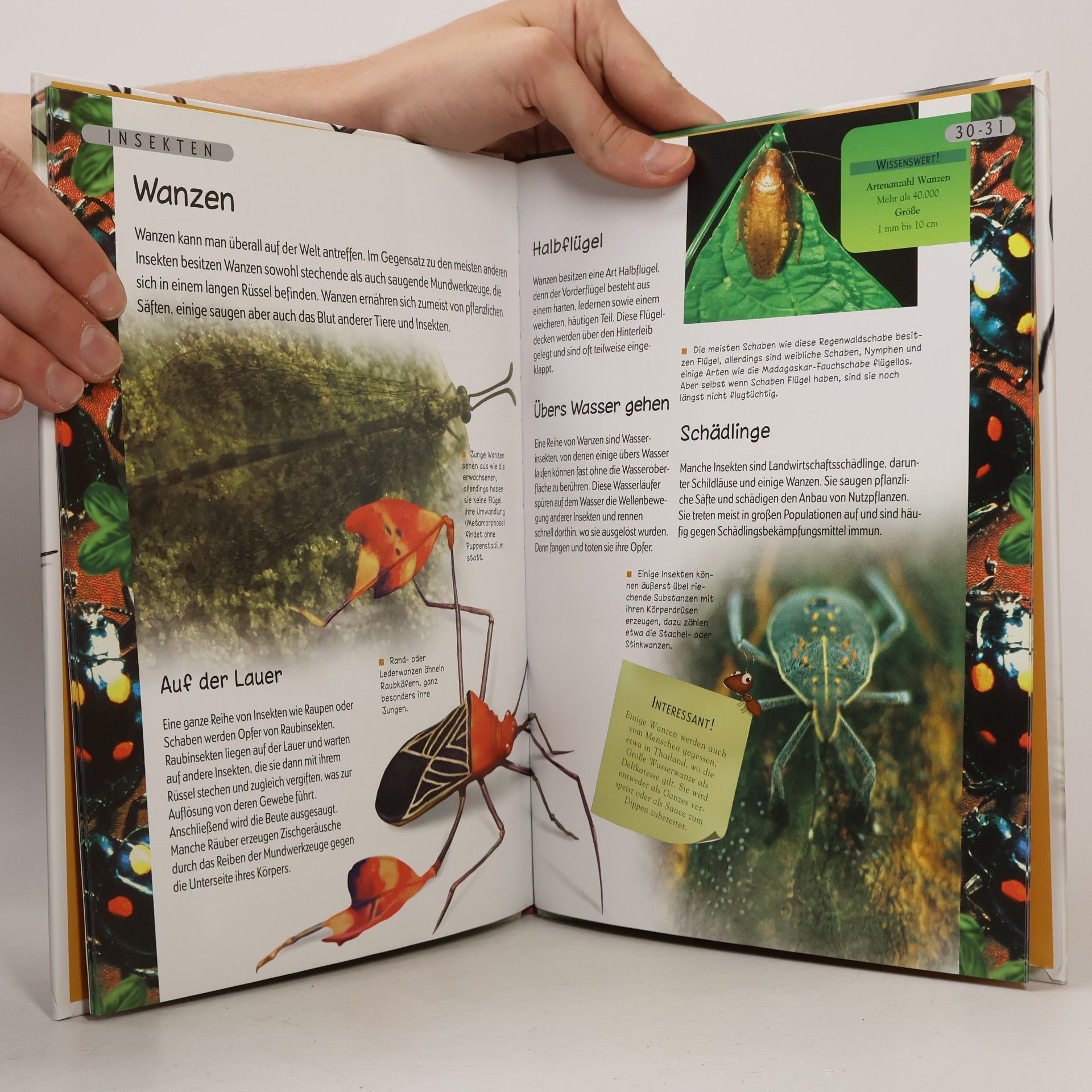 , Bungarten-Verlag Erkundungsreise Natur Insekten