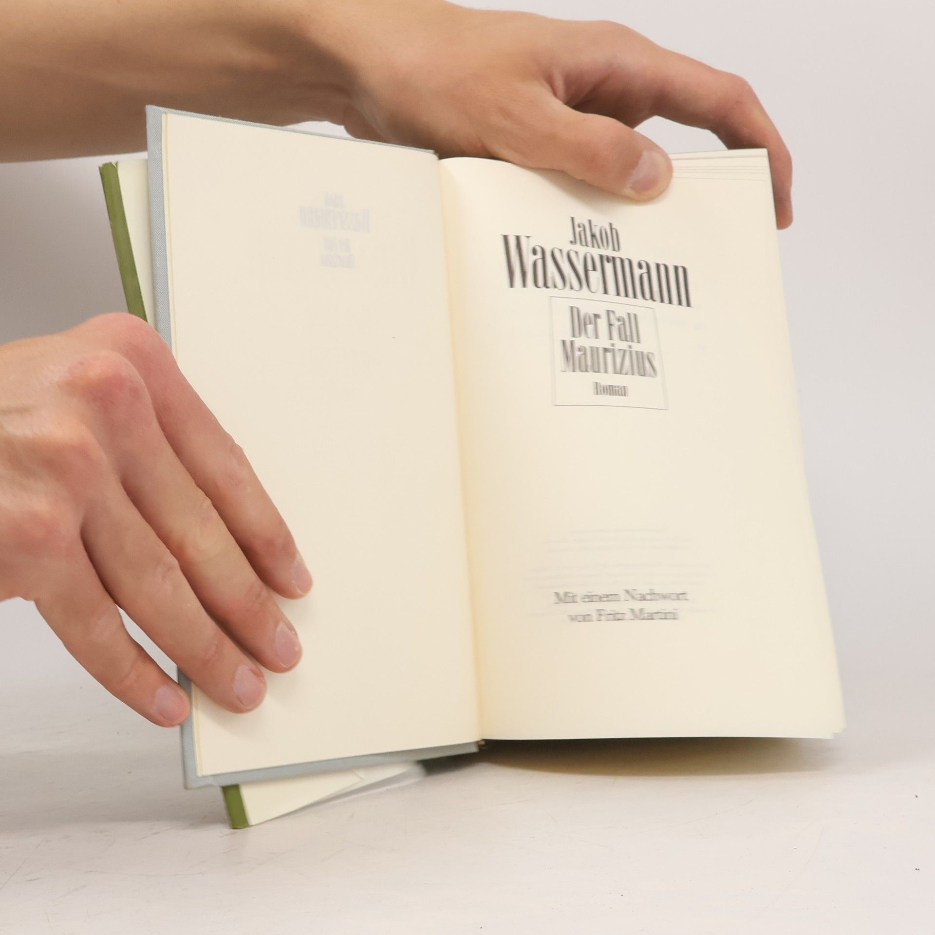 Jakob Wassermann Der Fall Maurizius