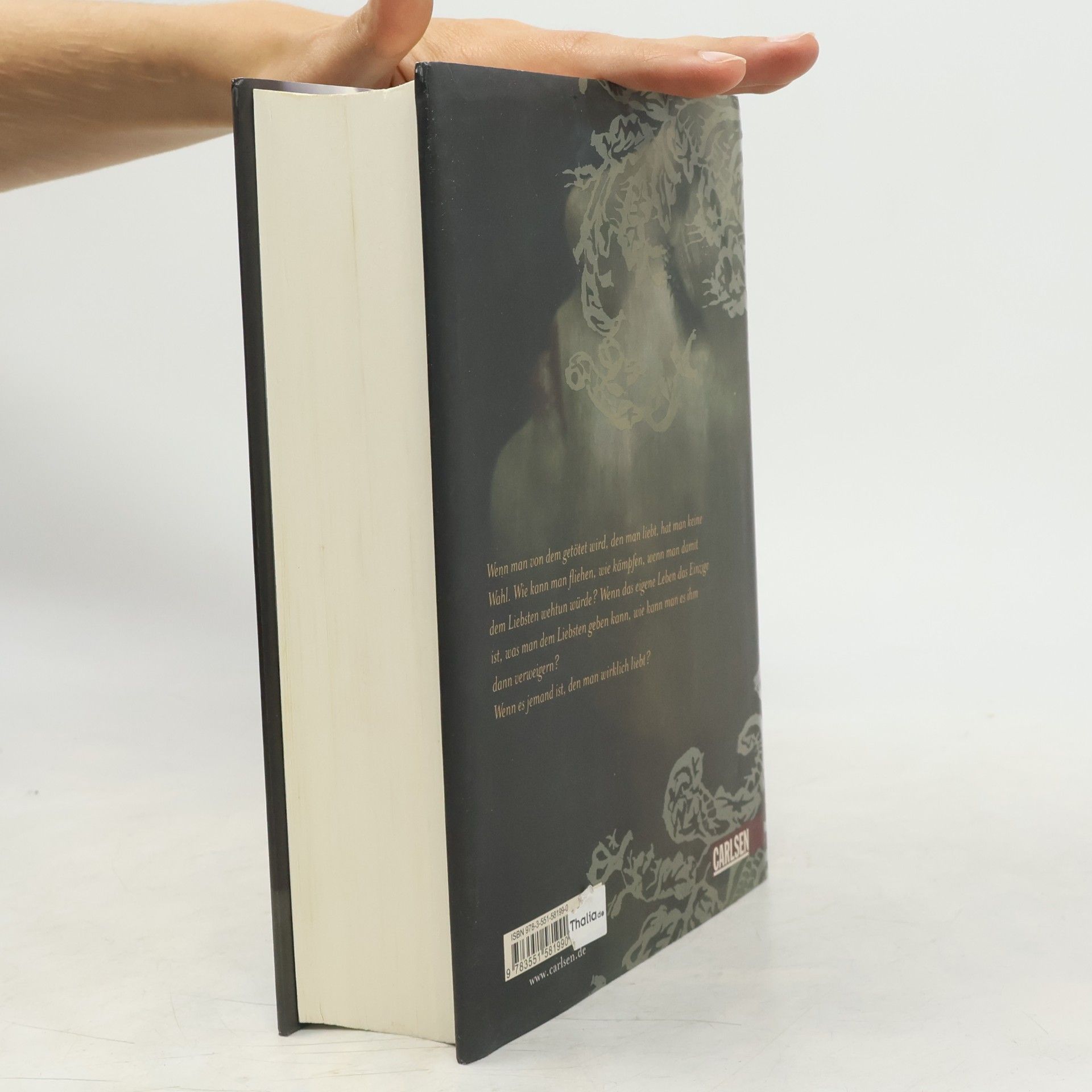 Stephenie Meyer Biss zum Ende der Nacht
