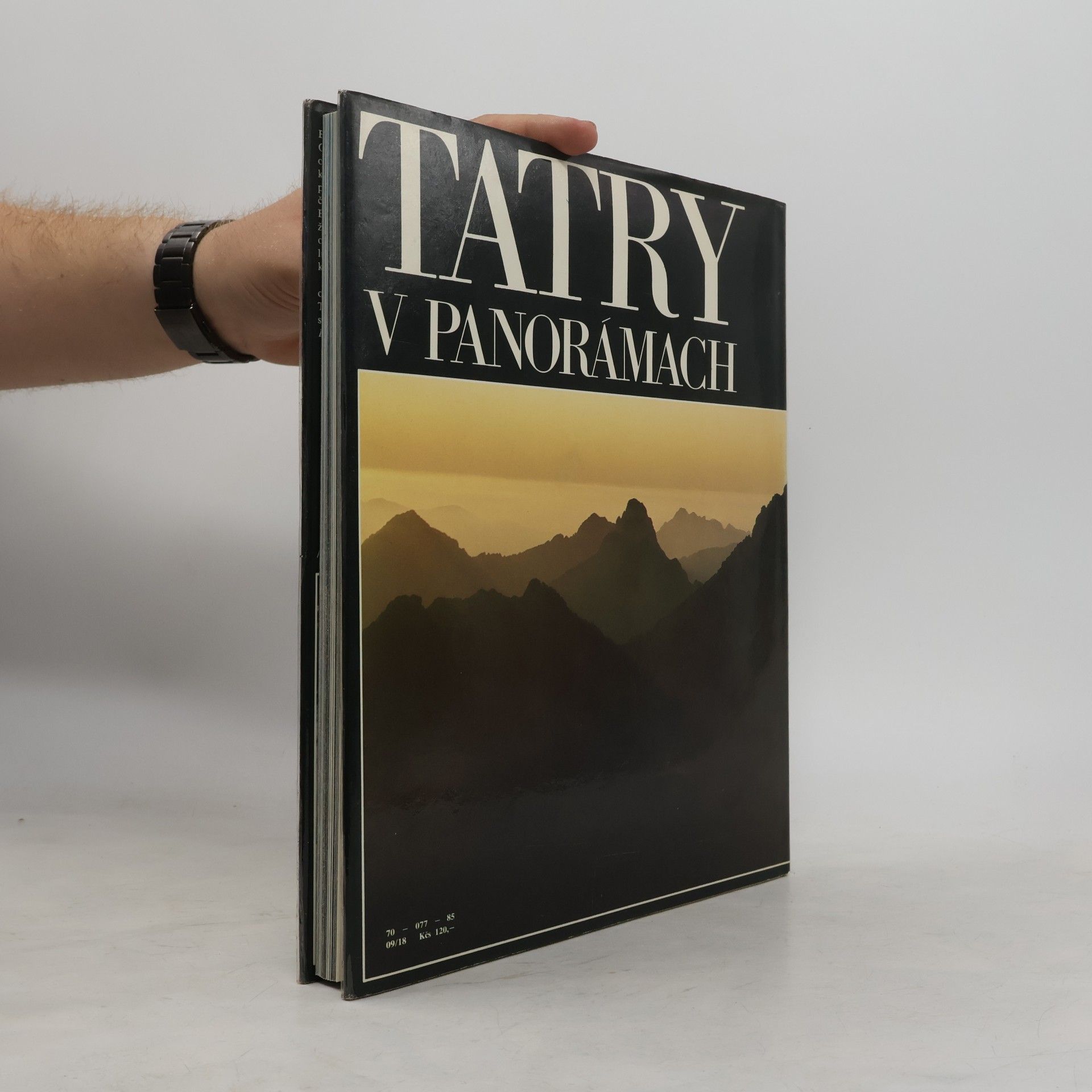 Luboš Brchel Tatry v panorámach