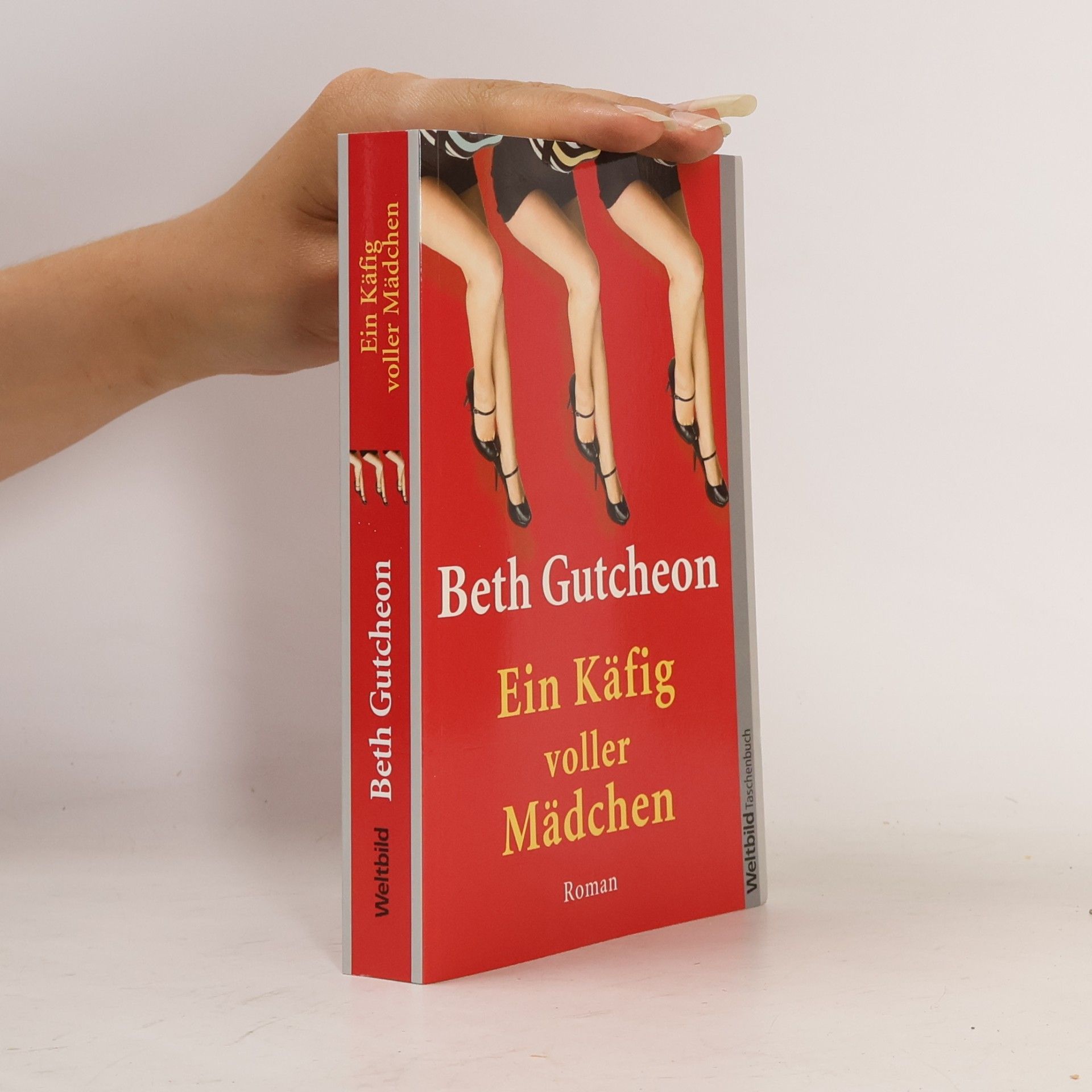 Beth Gutcheon Ein Käfig voller Mädchen