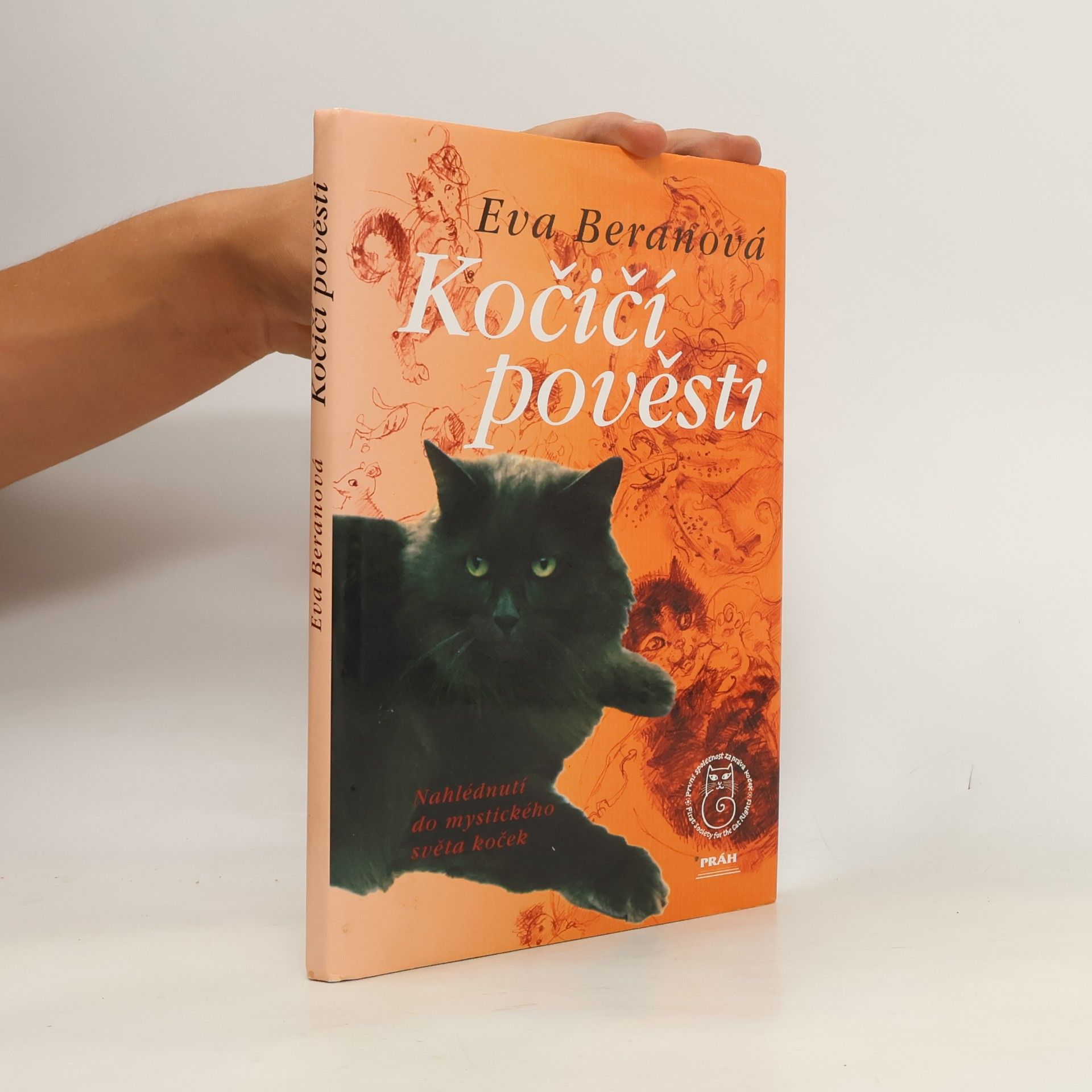 Eva Beranová Kočičí pověsti